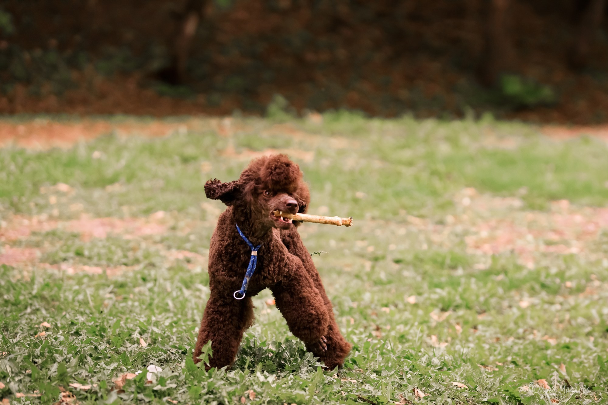 У санатория. Фотограф в Саратове Ольга Мазлова