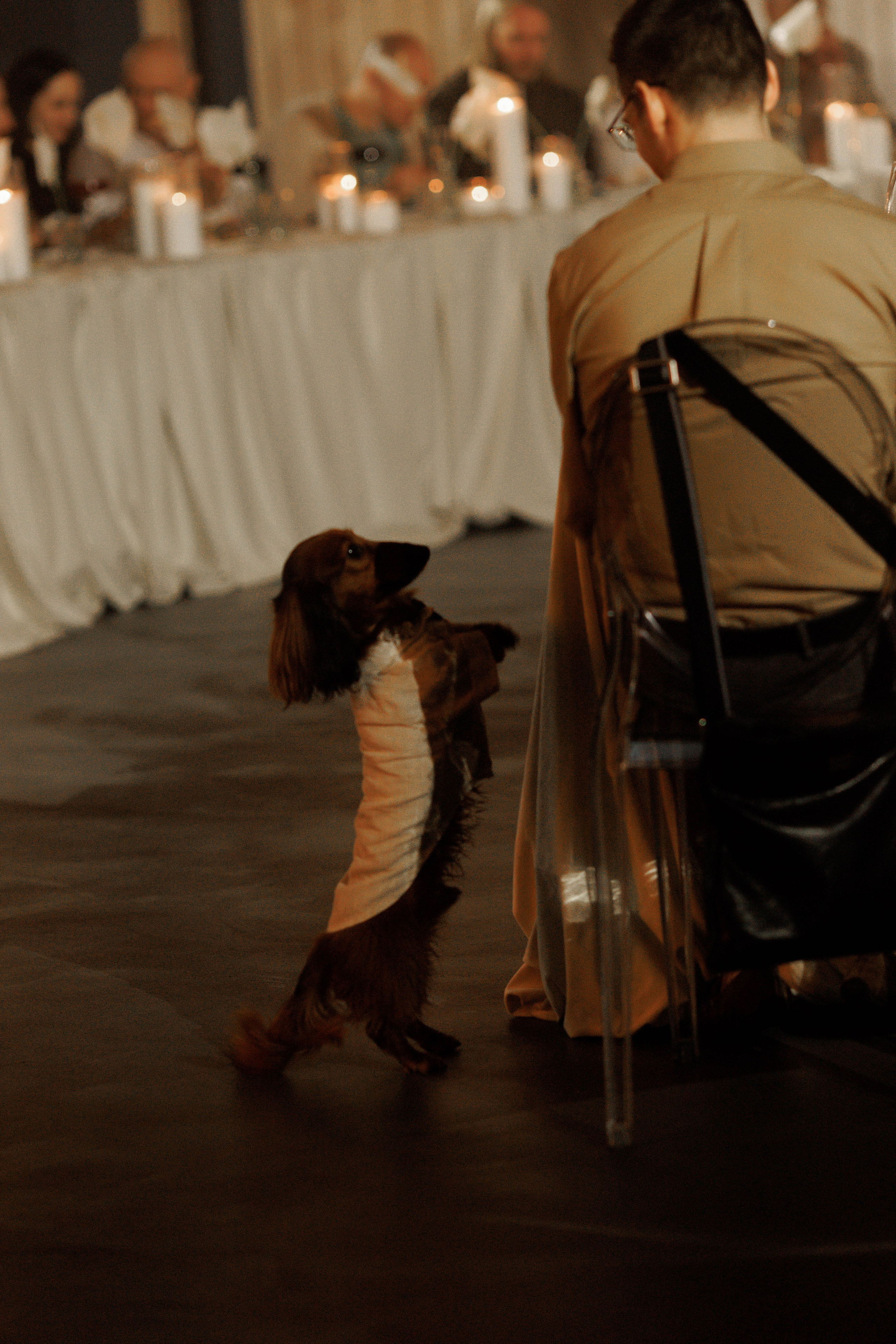 Hide Анастасия&Влад. Свадебный и семейный фотограф  во Владивостоке Ольга Украинец