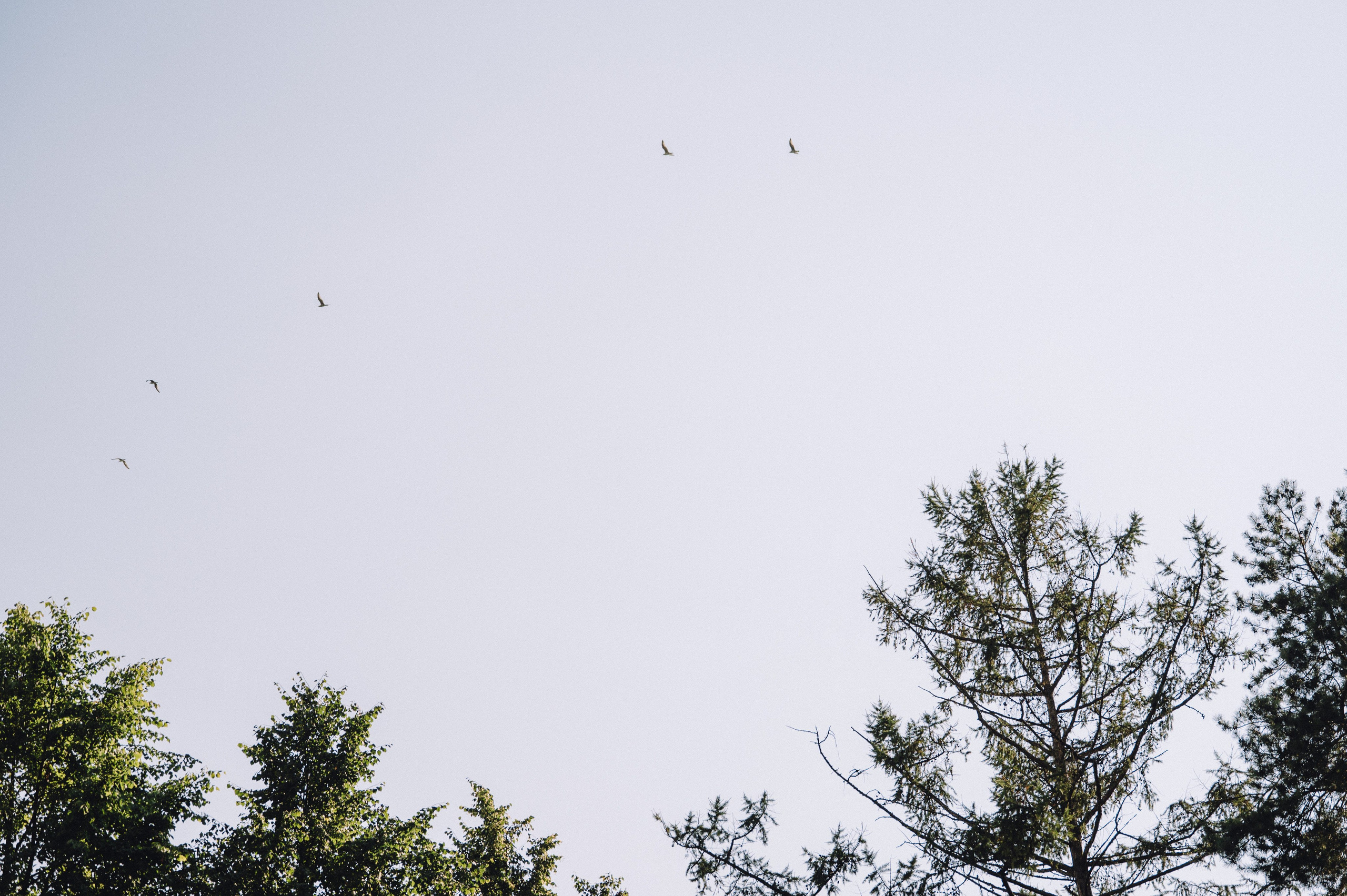 Вадик и Мари. Профессиональный фотограф Алексей Васенцев. Минск, СПБ, Москва