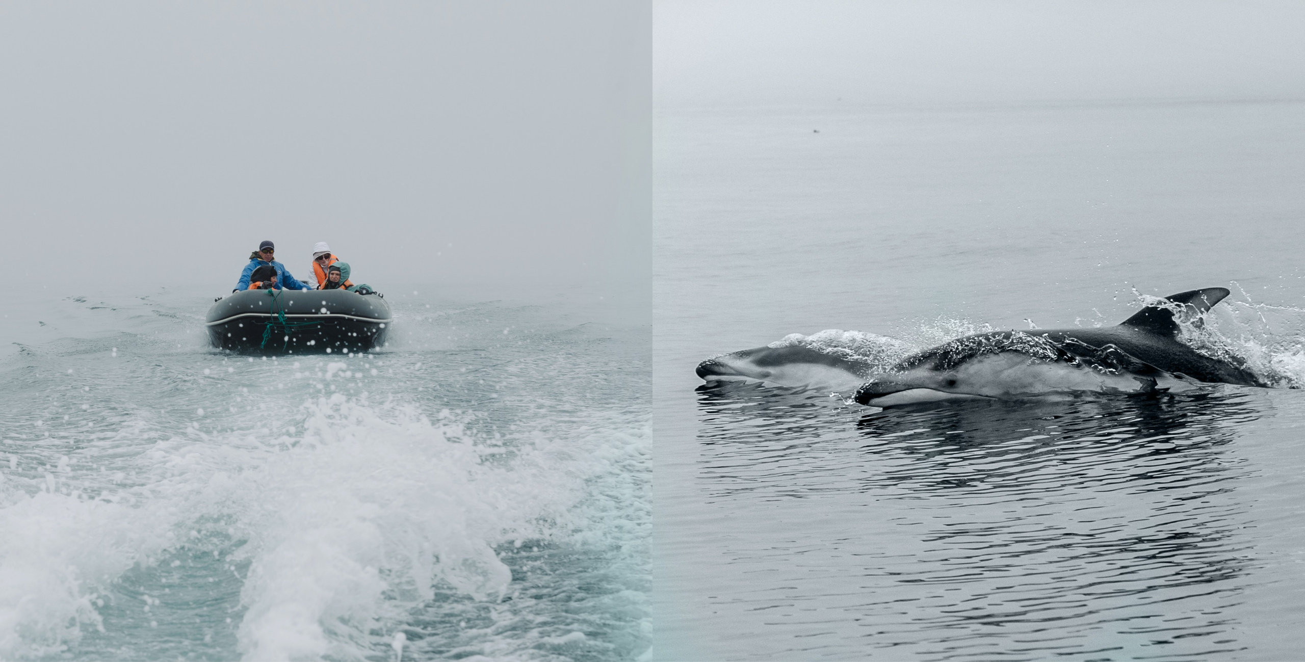Сахалин и Курильские острова. Фотограф Алиса Калинина