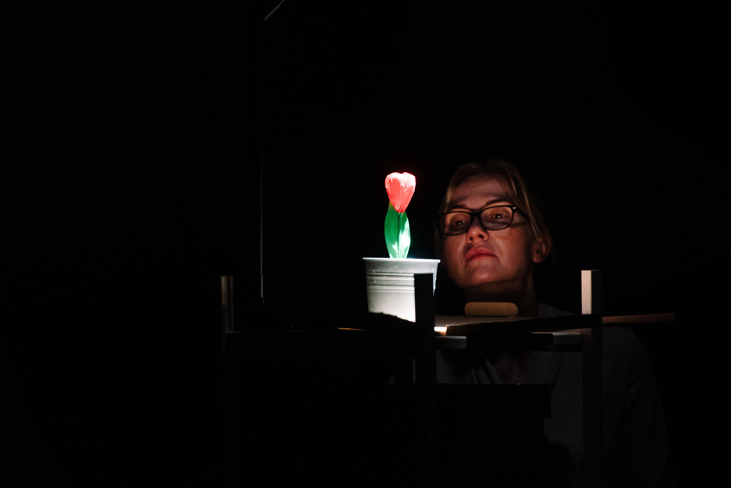 Сахарный ребёнок. Фотограф Алиса Калинина