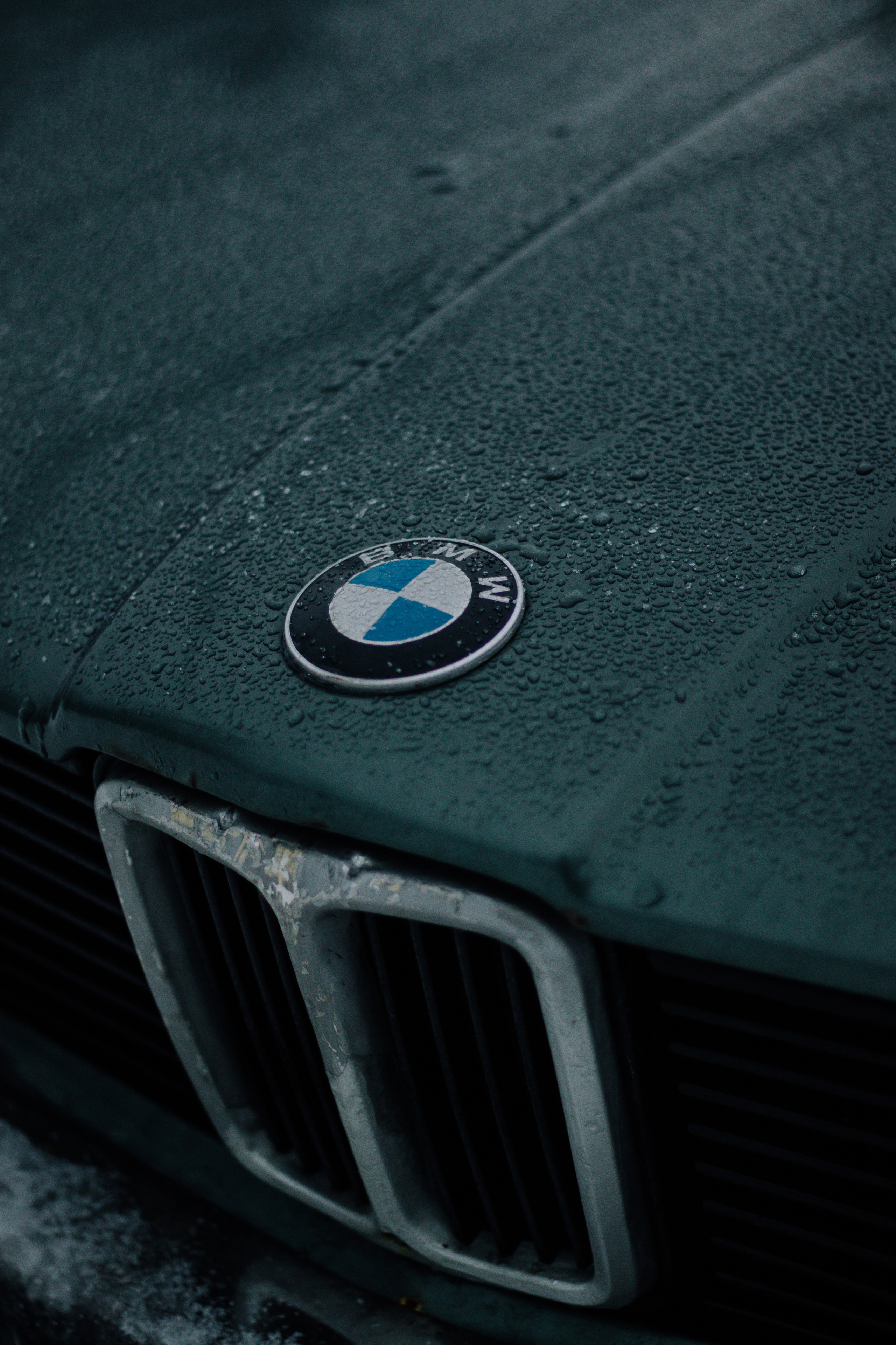 Отзывы. Фотограф Москва