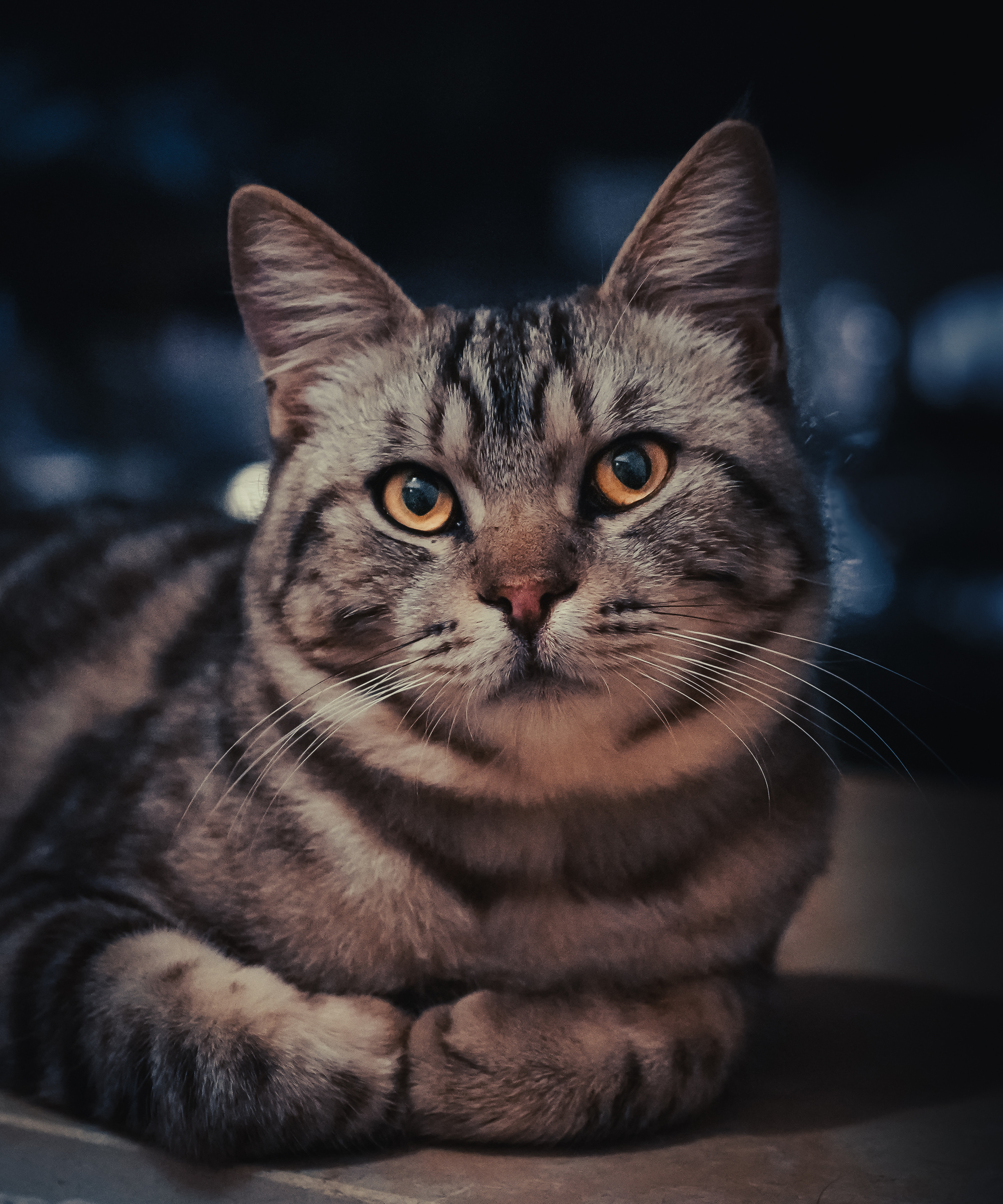 Фотограф Семён Родов