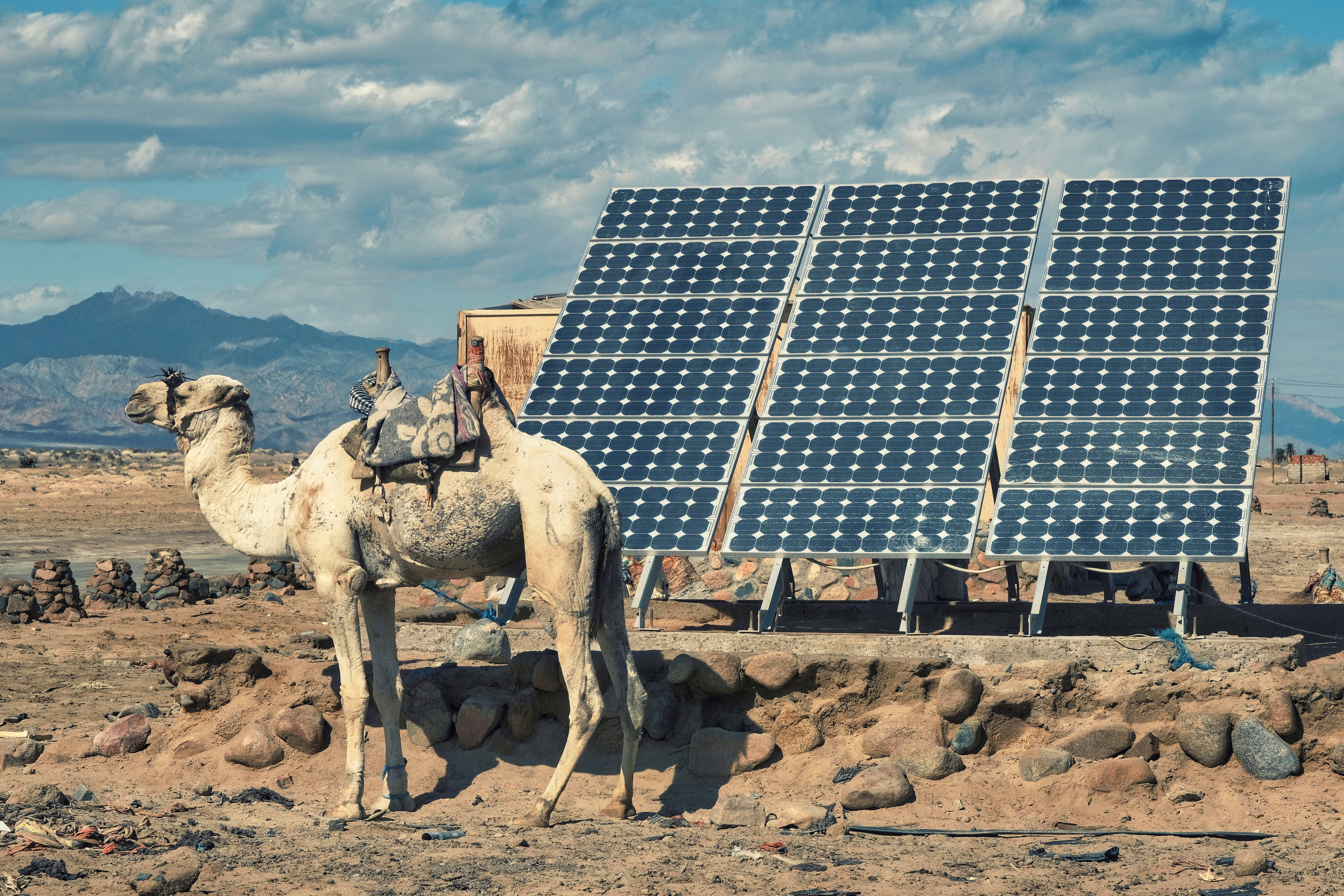 Жанровая фотография. Фотограф Семён Родов