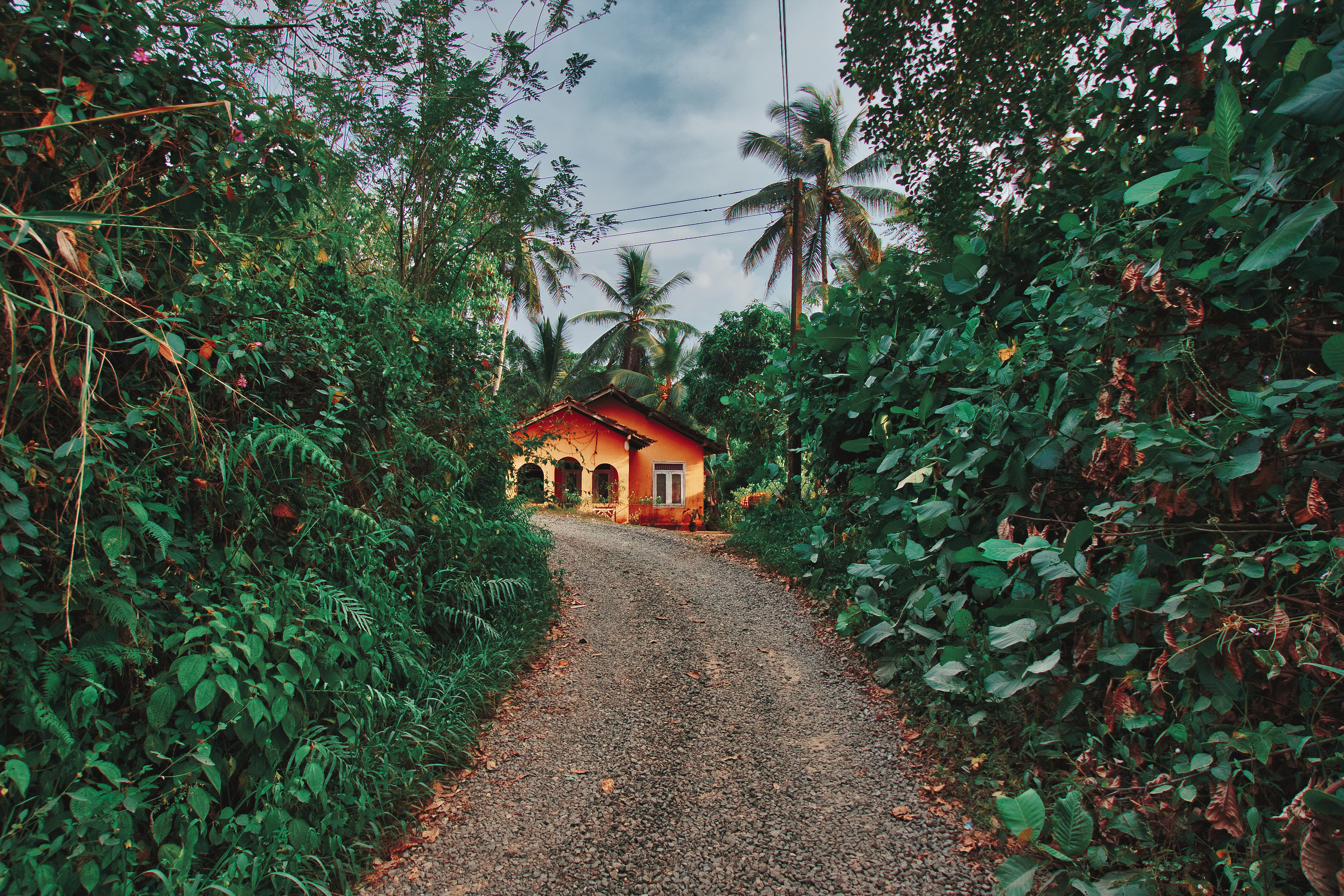 Фотограф Семён Родов