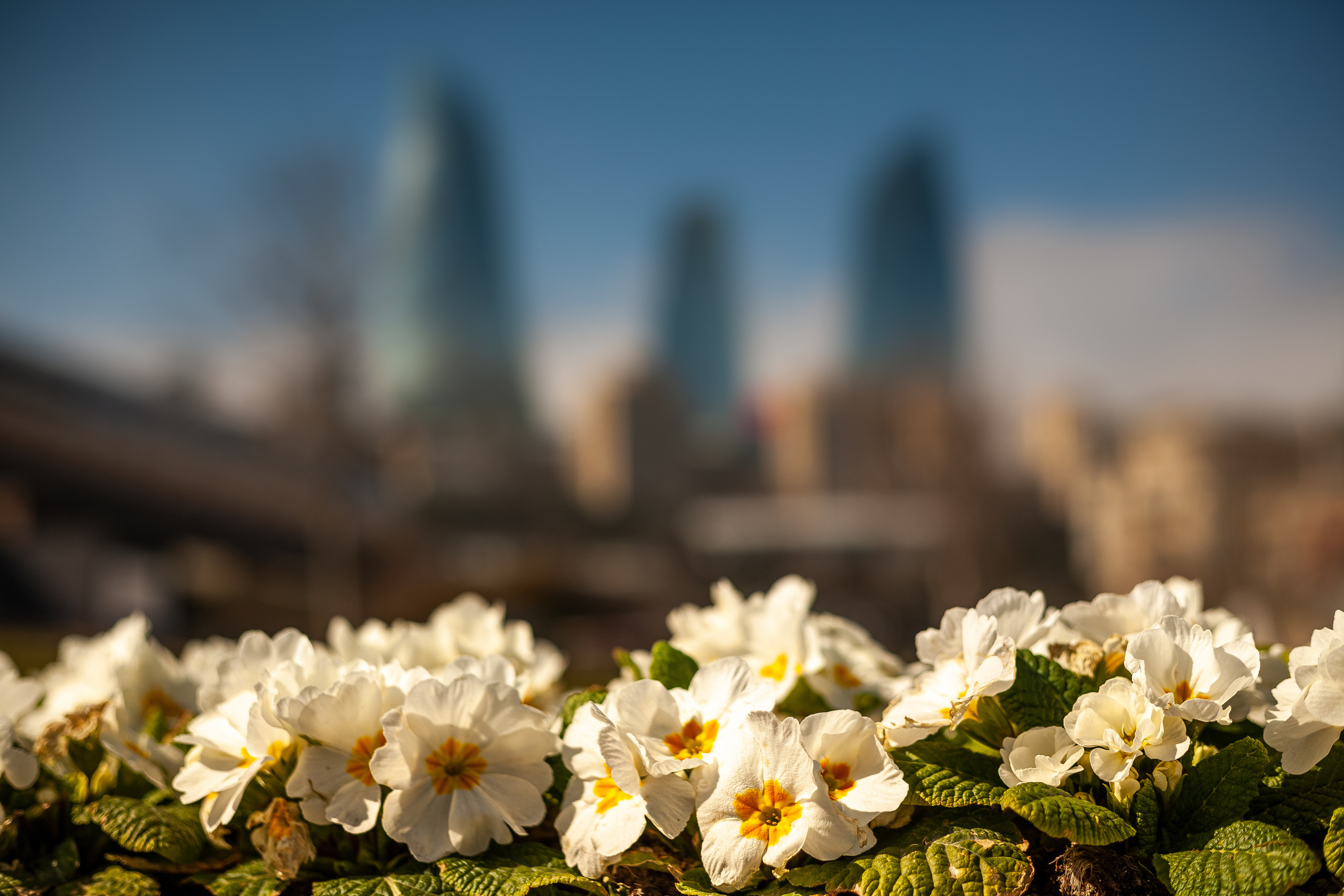 Фотограф Семён Родов