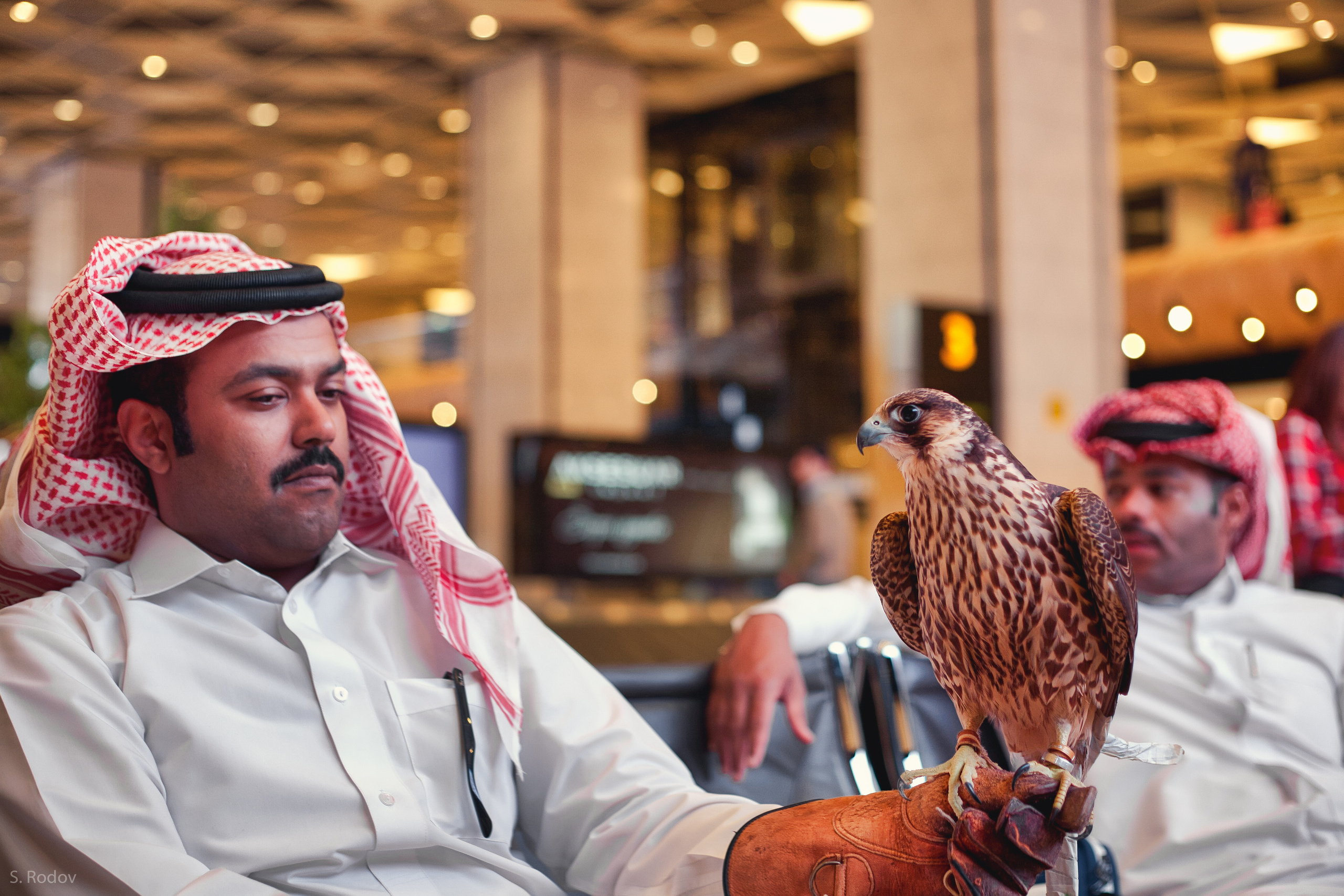 Портрет. Фотограф Семён Родов