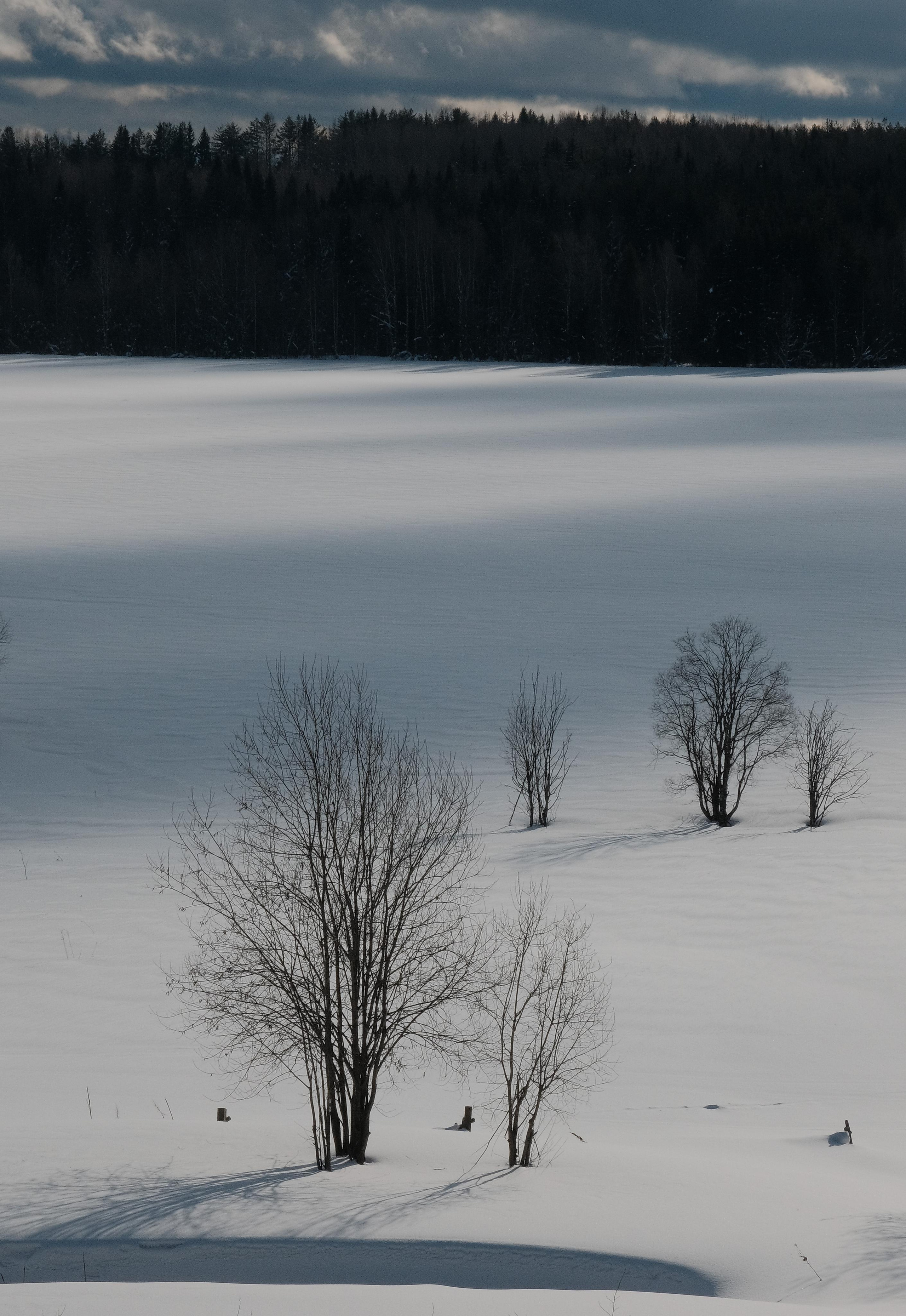 Пейзаж. Фотограф Семён Родов