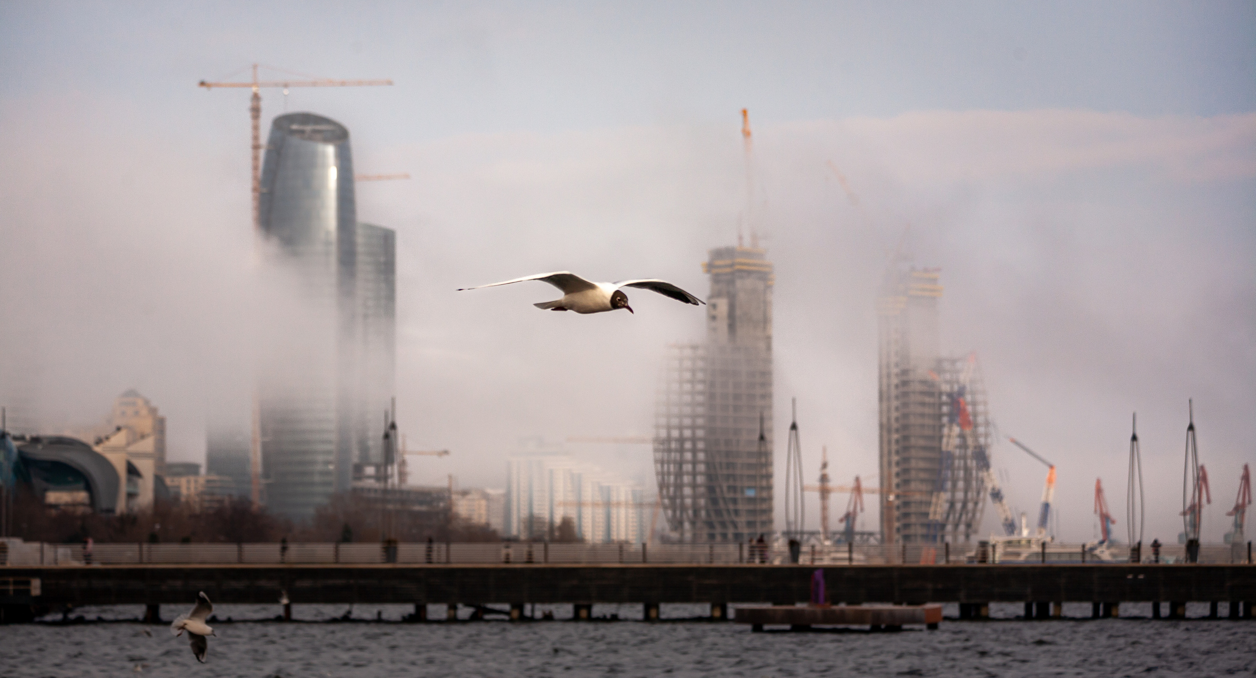 Фотограф Семён Родов