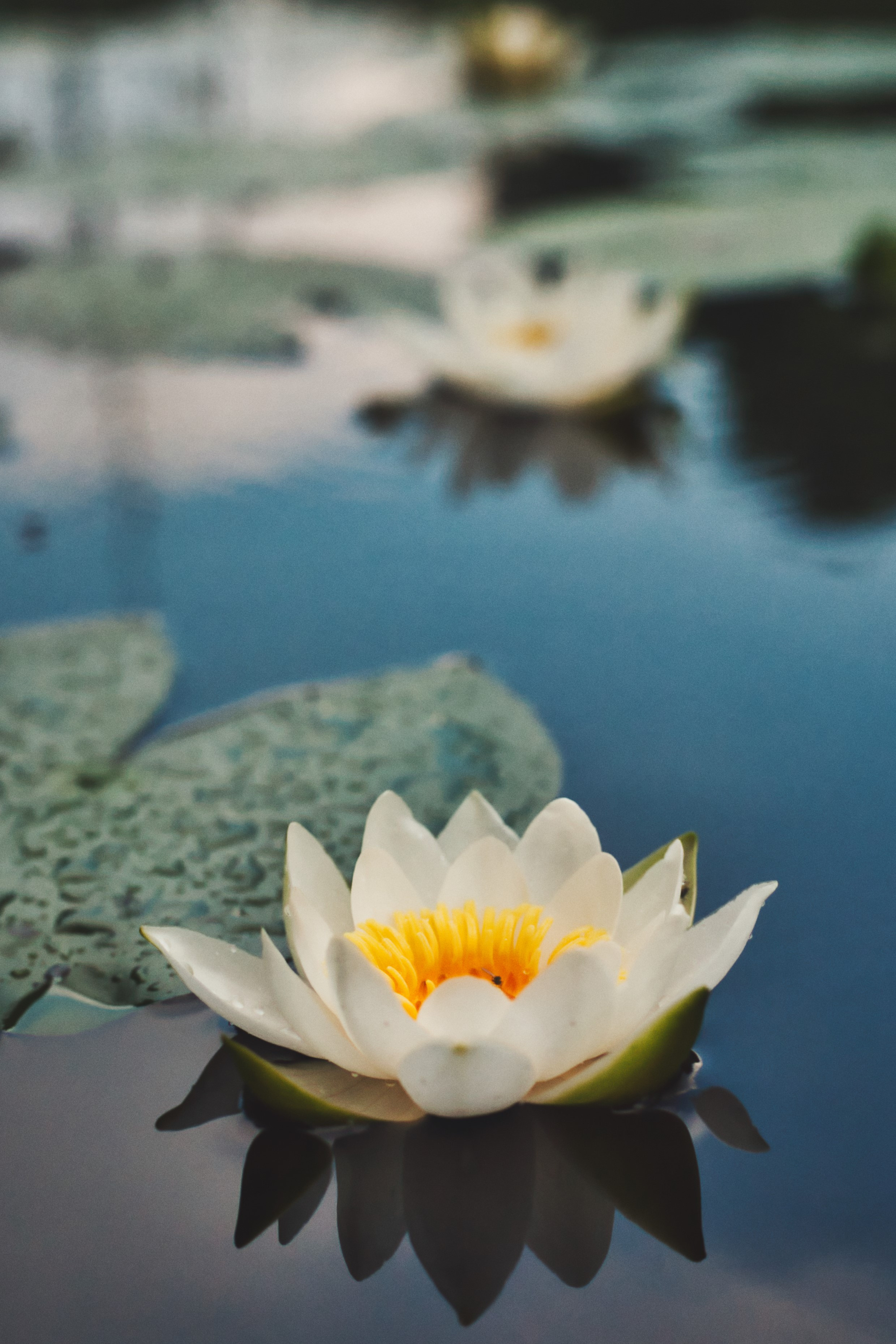 Фотограф Семён Родов