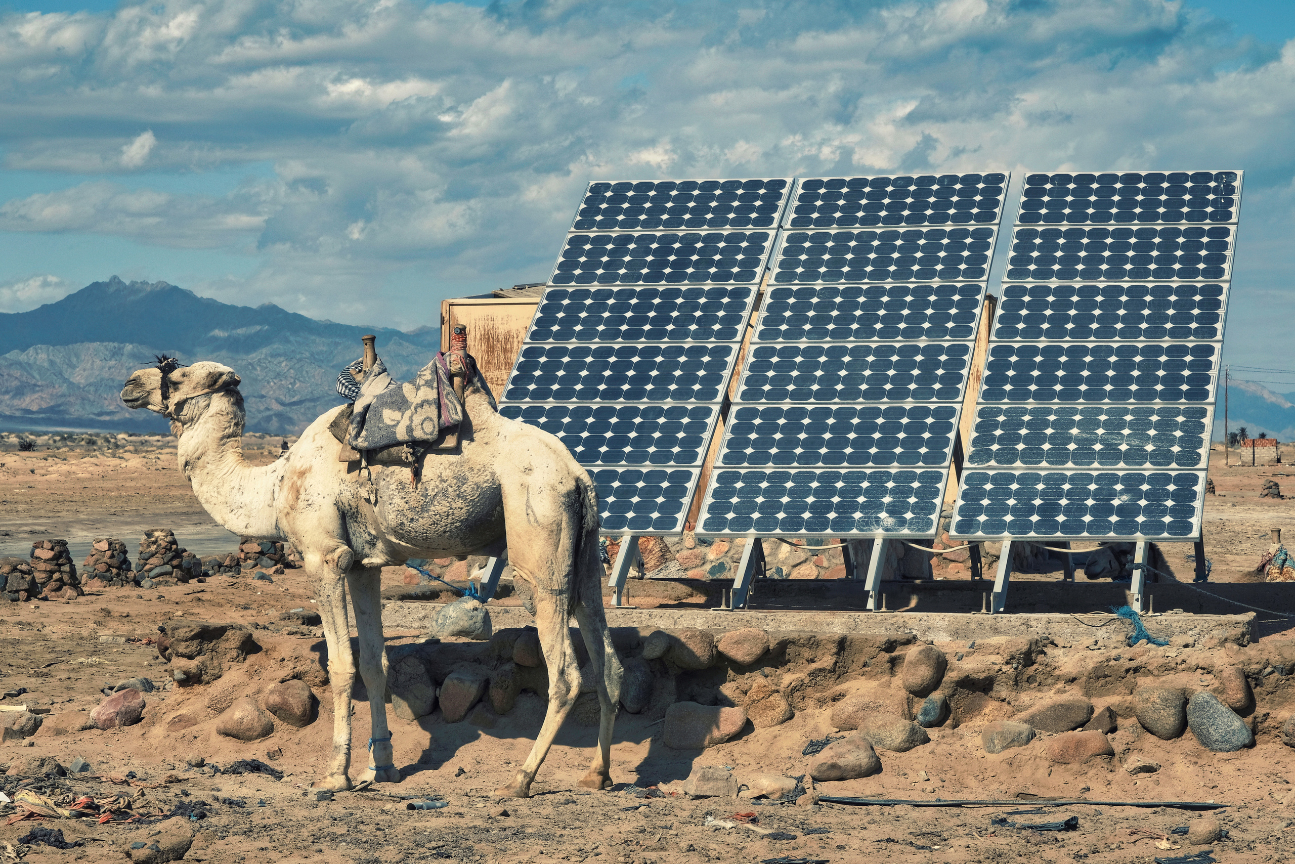 Фотограф Семён Родов