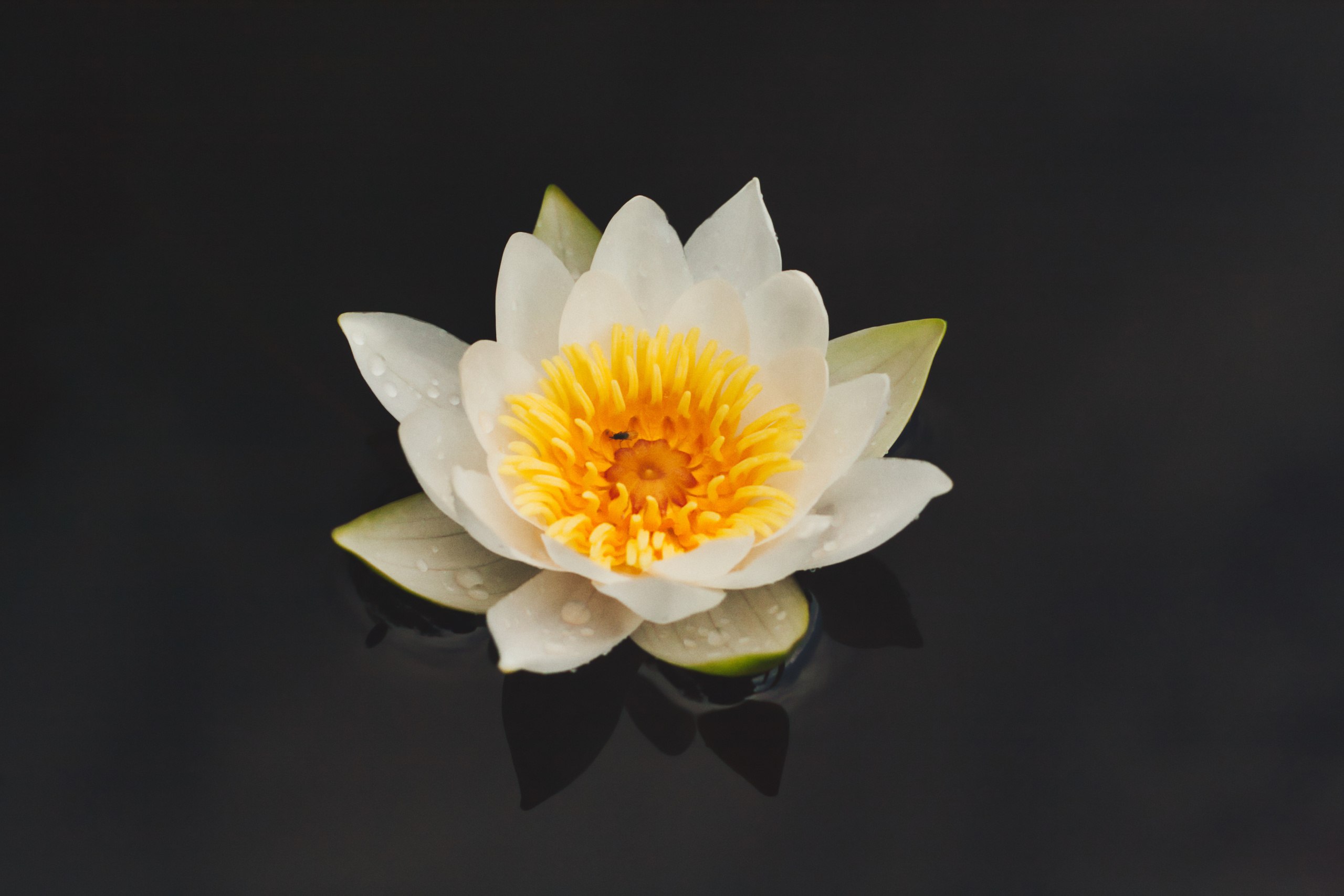 Фотограф Семён Родов