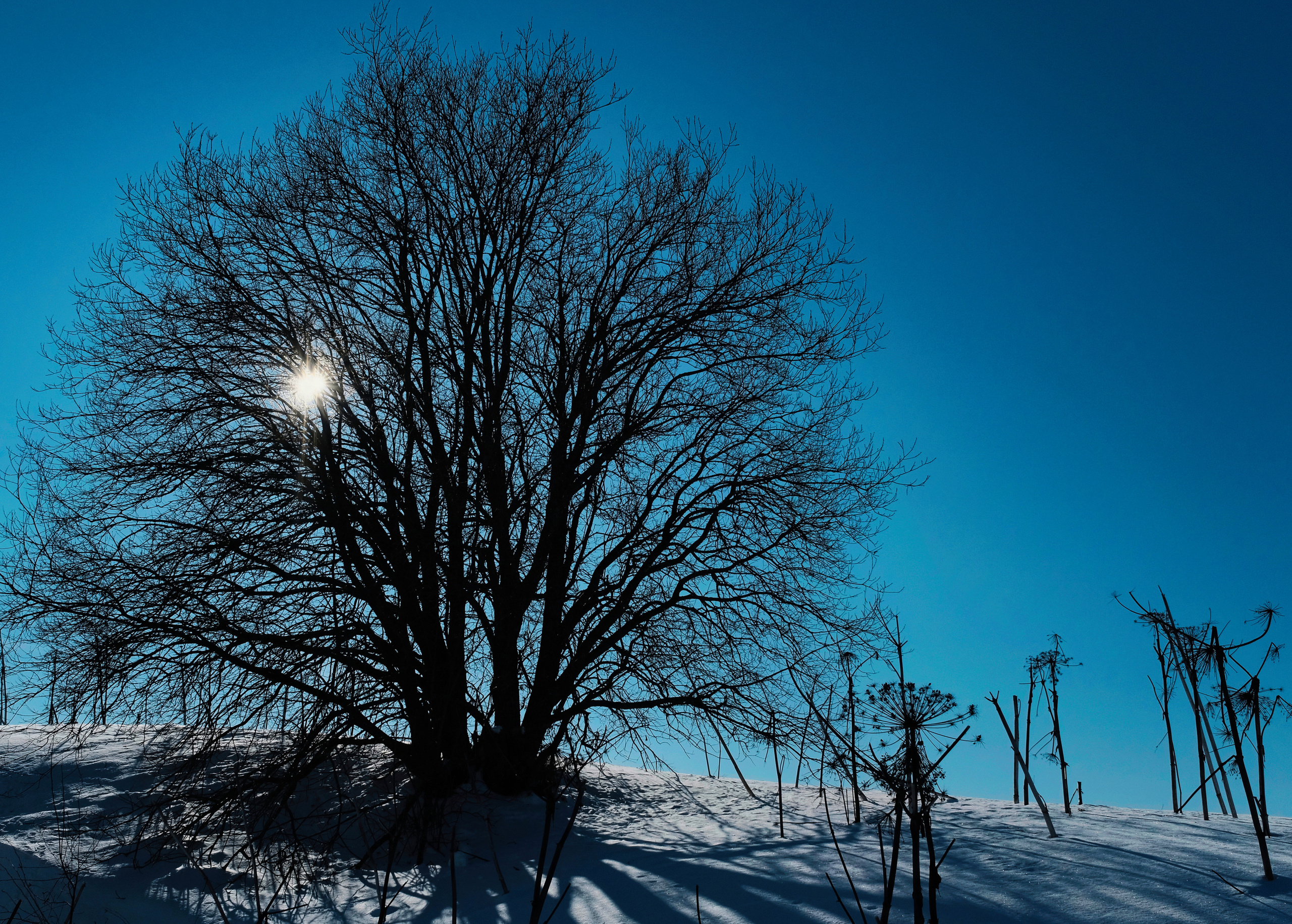 Пейзаж. Фотограф Семён Родов