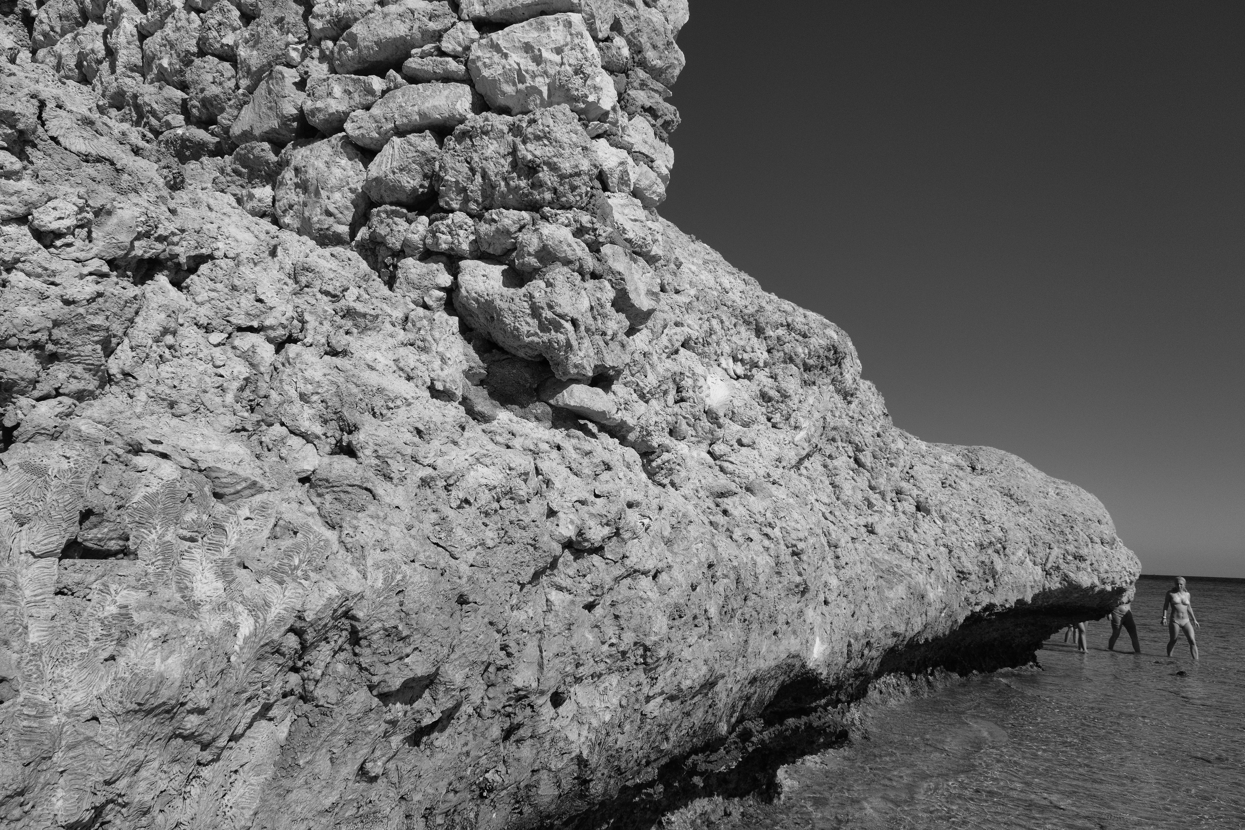 Фотограф Семён Родов