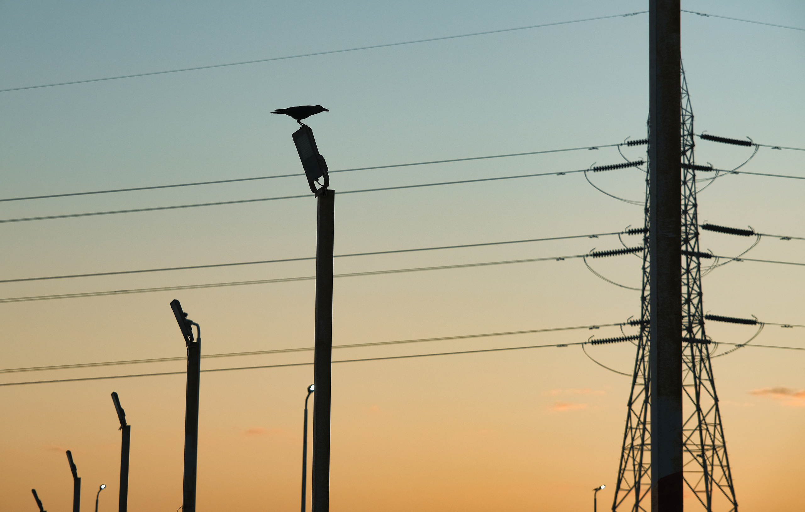 Жанровая фотография. Фотограф Семён Родов