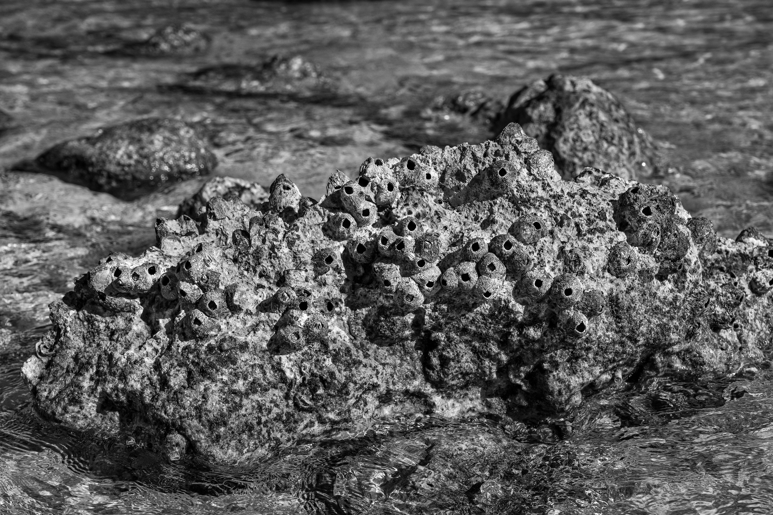 Пейзаж. Фотограф Семён Родов