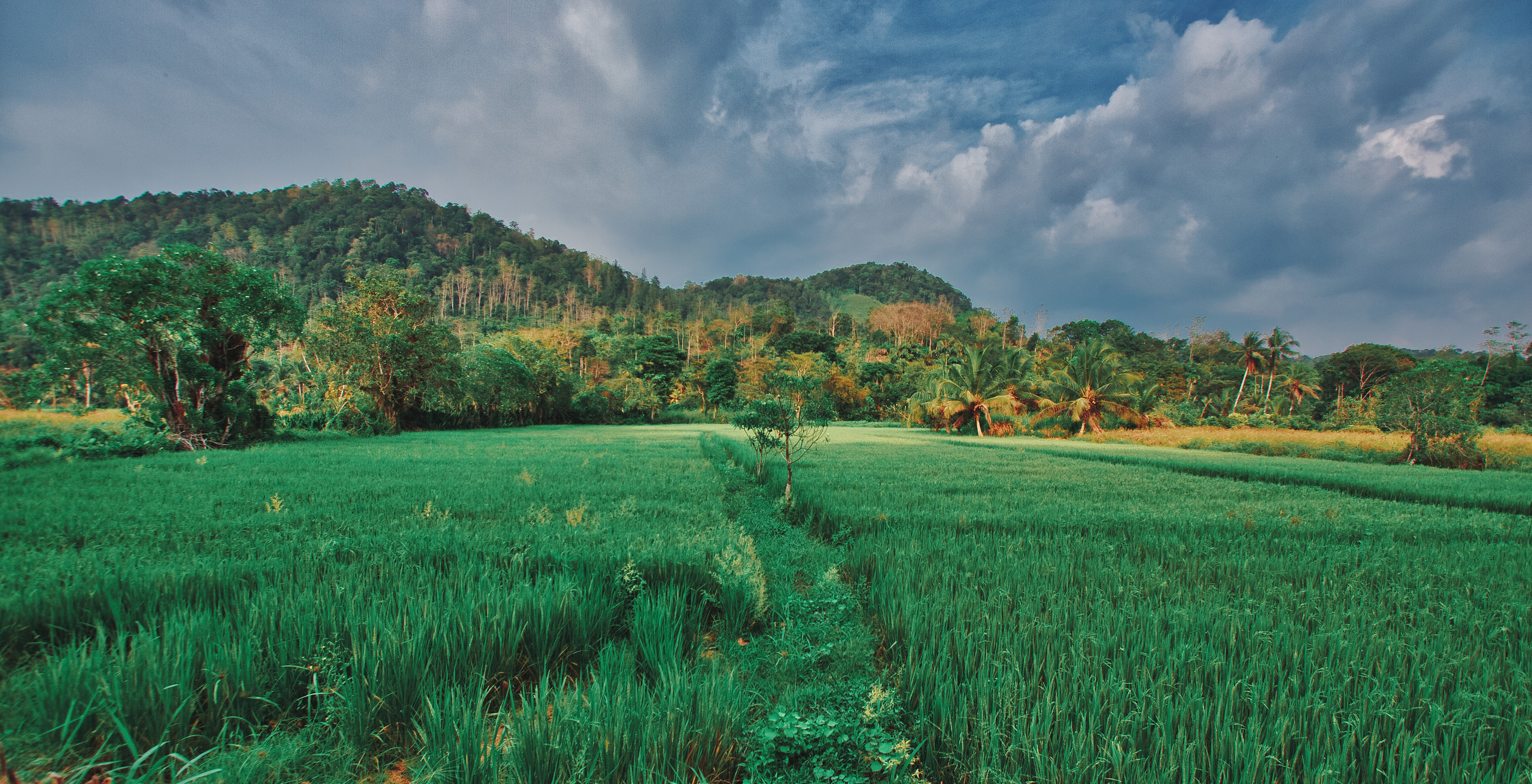 Фотограф Семён Родов