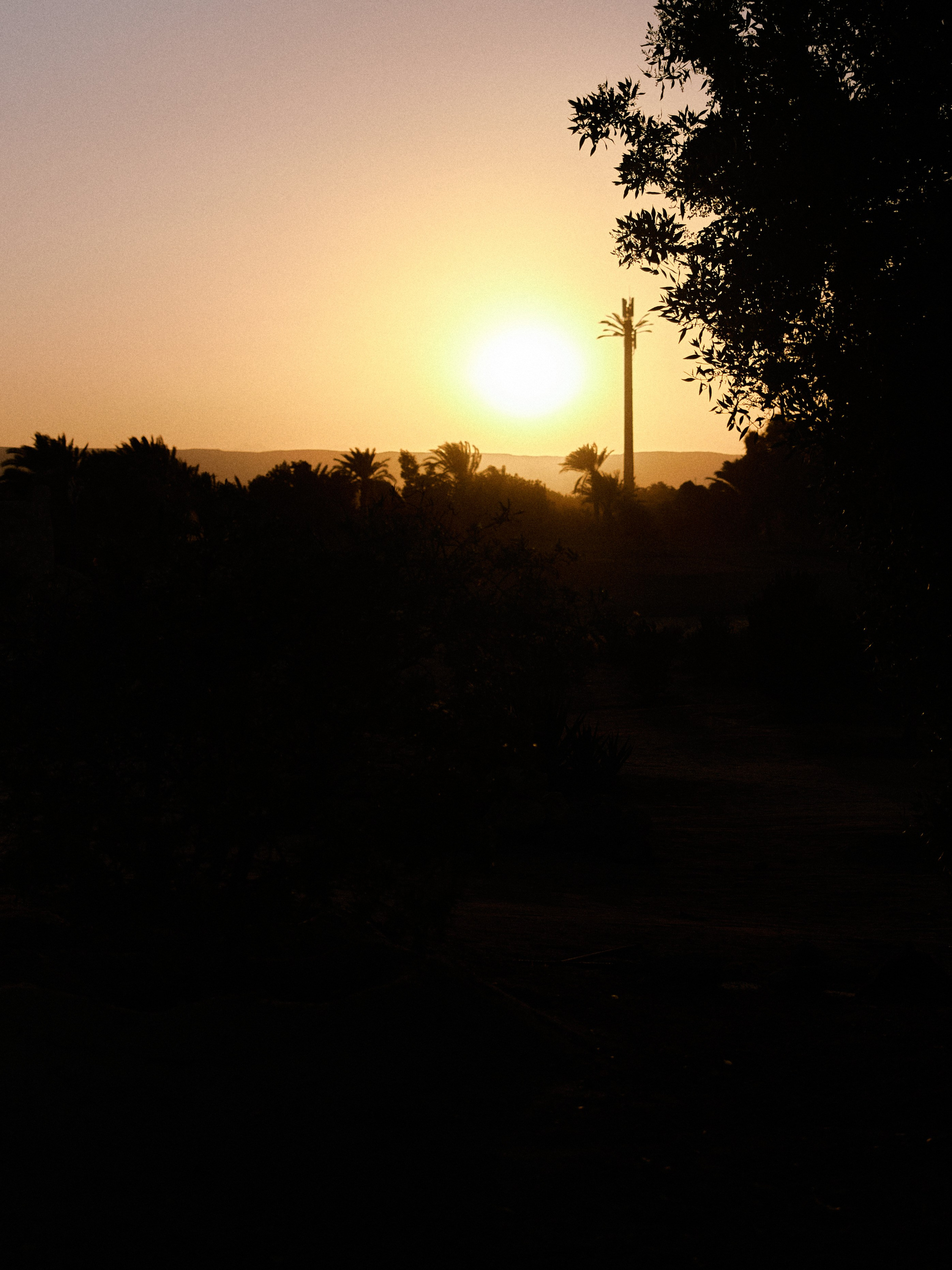 Второй сорт. Jorgis — фотограф в Хургаде / обучение фотографии