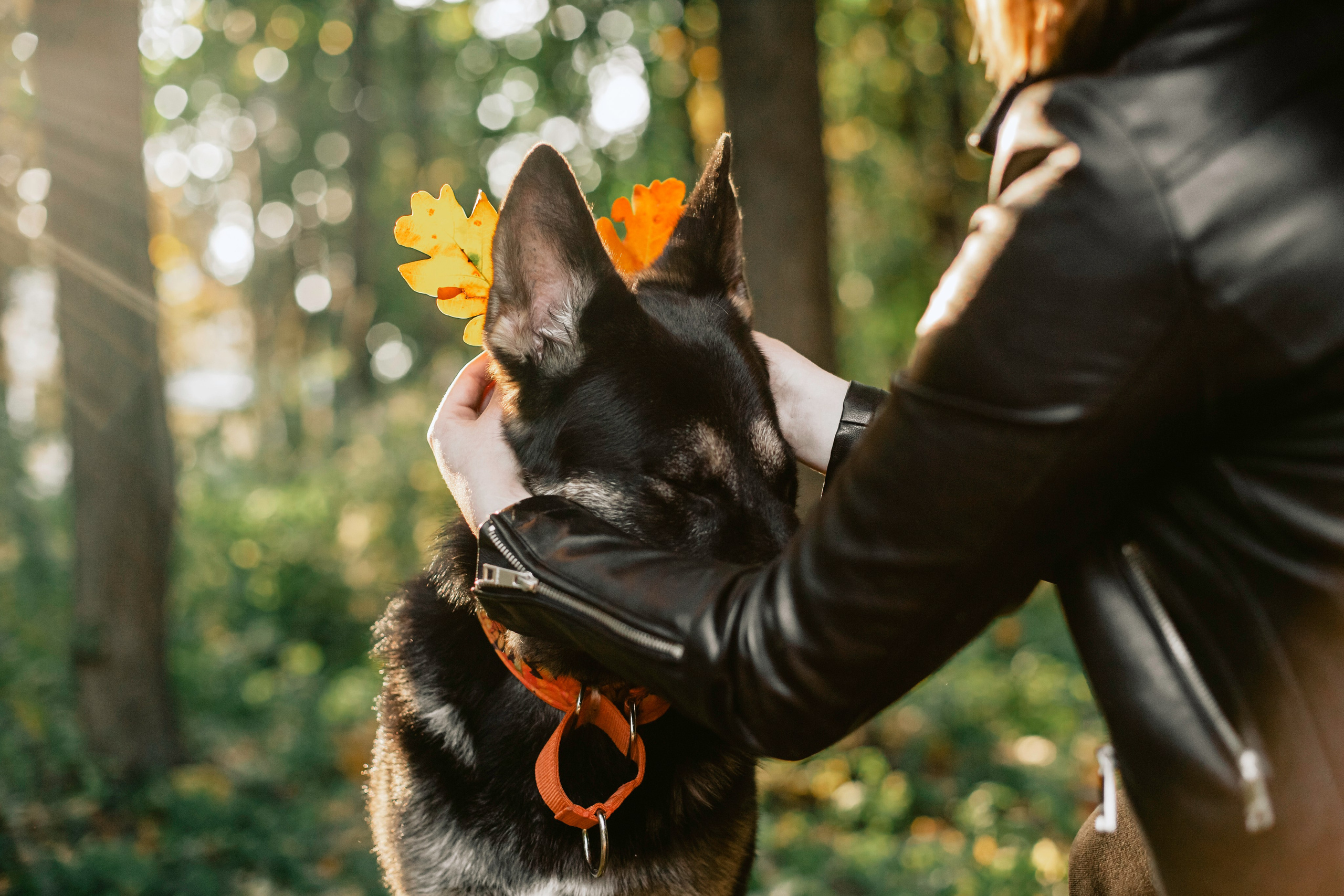 Илай. Фотограф-анималист Татьяна Степанова