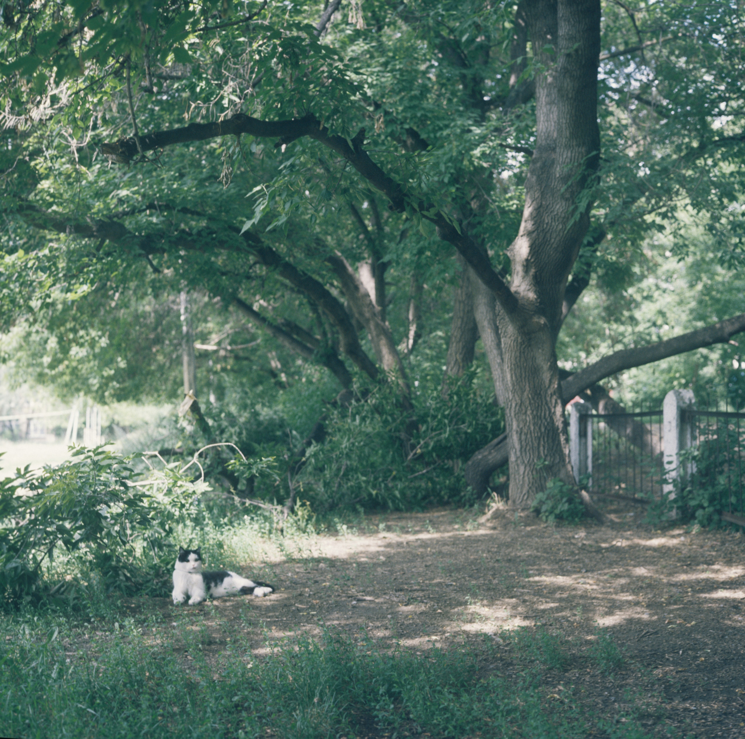 Василий. Фотограф в Санкт-Петербурге Березовский Даниил