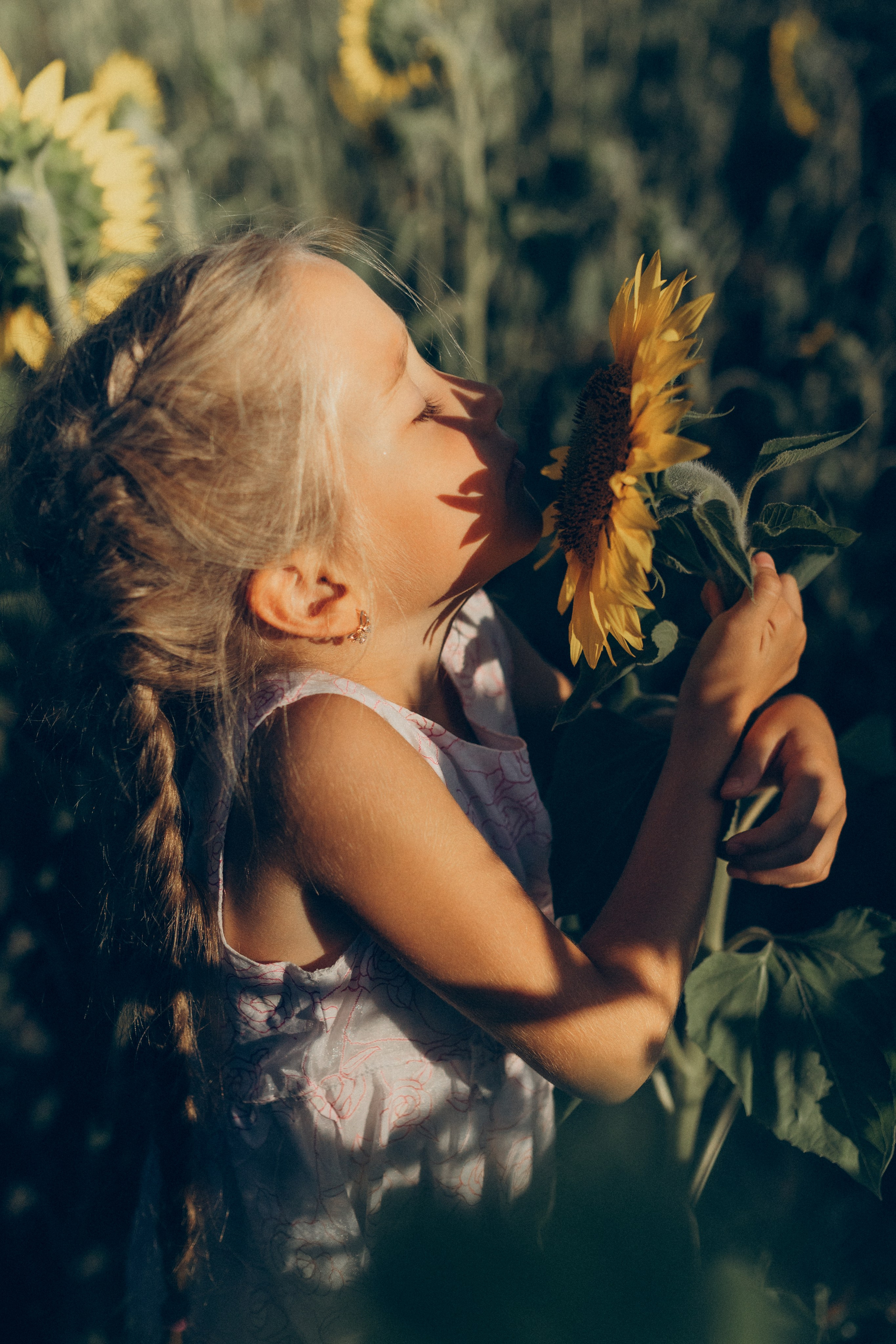 Дети и подсолнухи. Семейный фотограф lifestyle в Новосибирске Елена Шпилевая