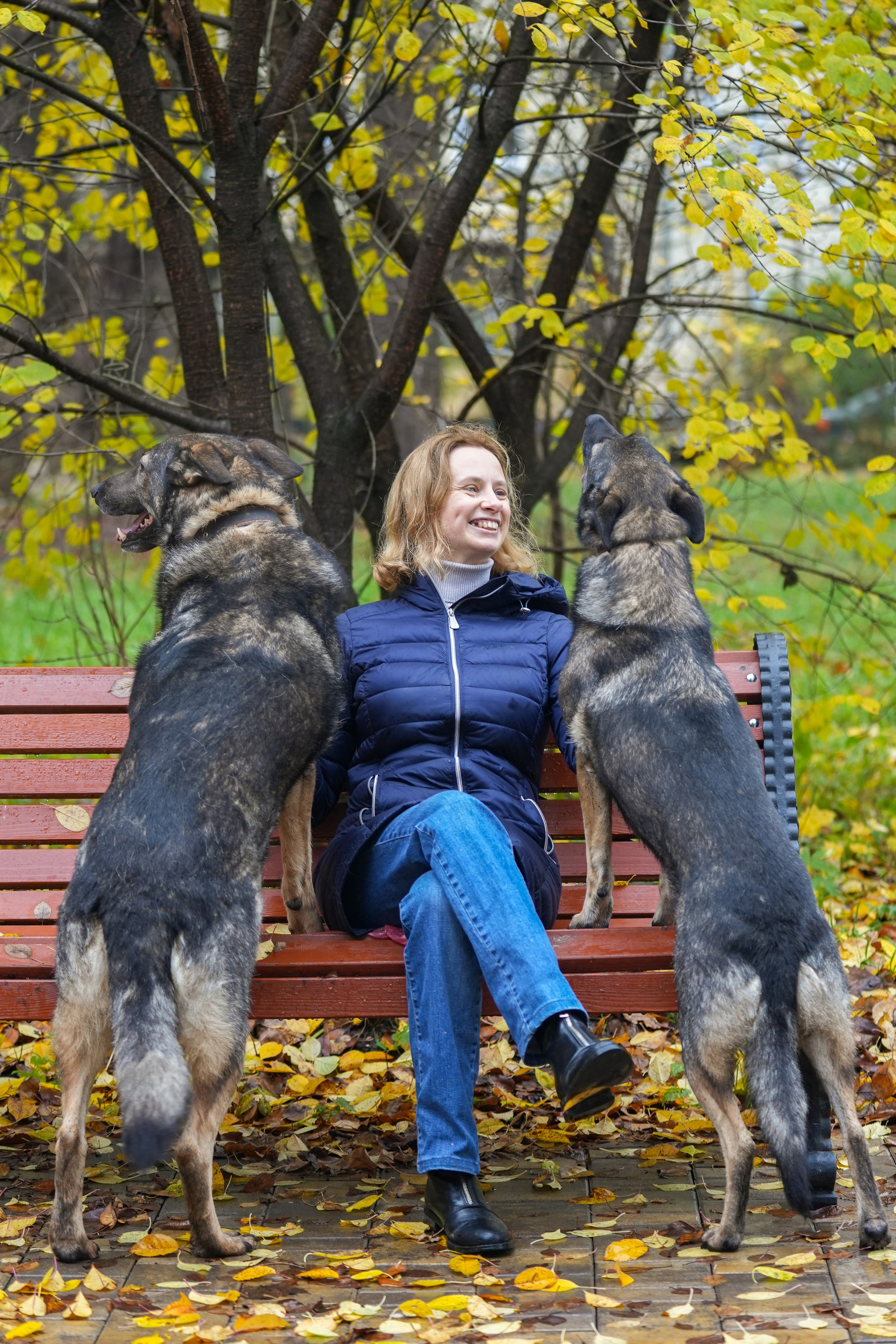 Фотосъемка девушки с двумя собаками. Фотосессия с собакой. Фотограф анималист. 