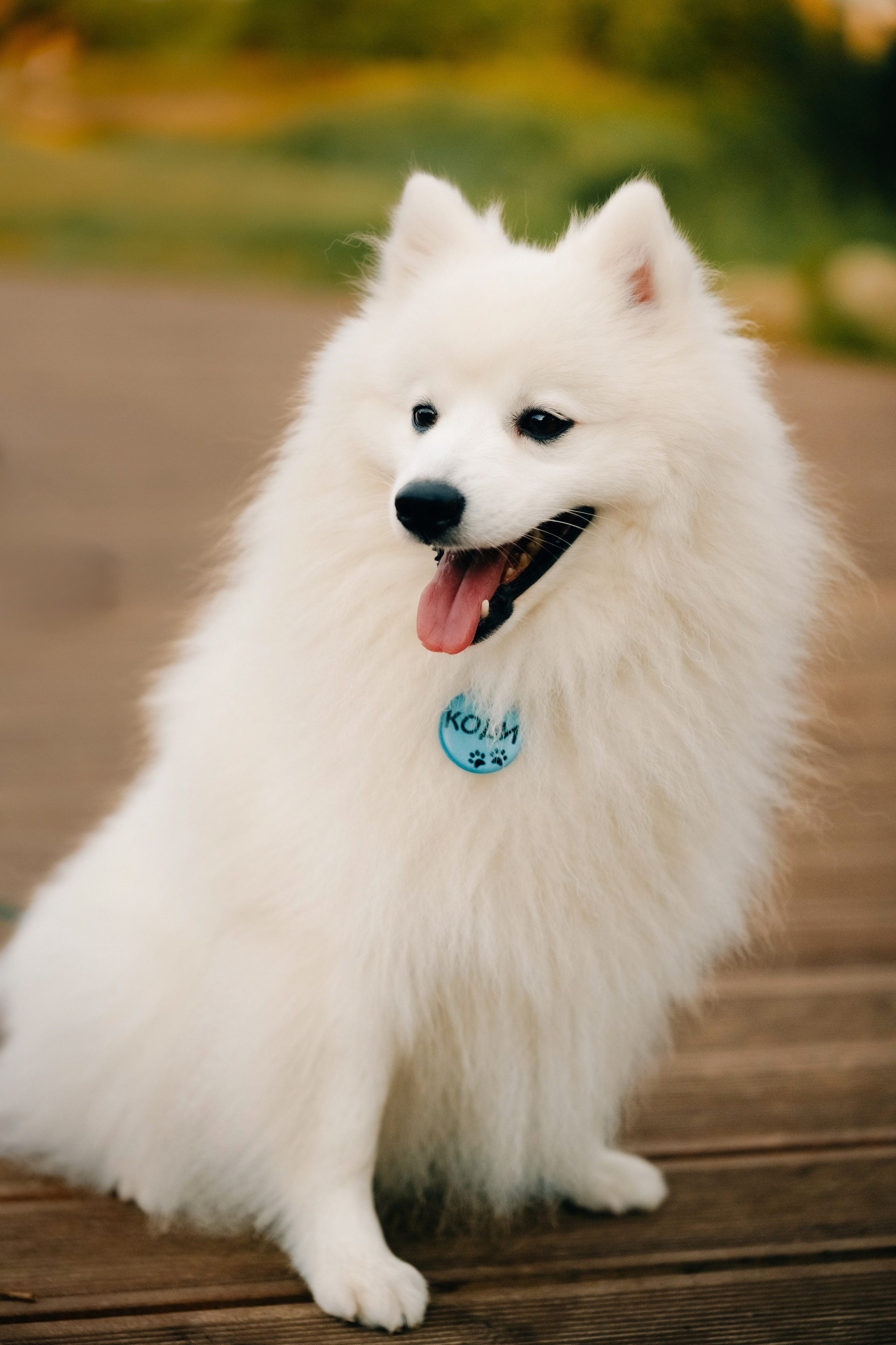 Зоопарк в моём багаже. Кошенкова Мария: портретный и репортажный фотограф. Санкт-Петербург