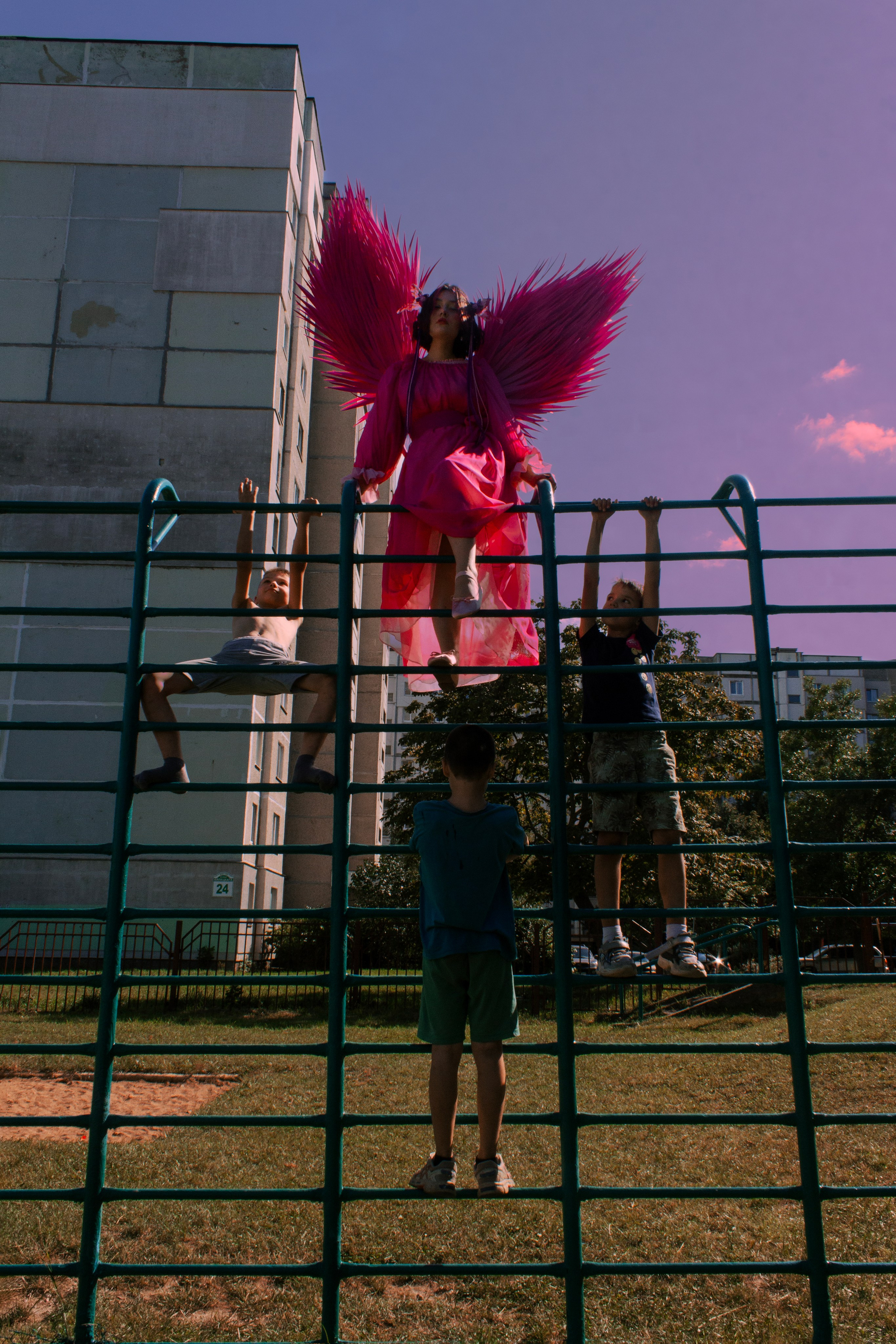 Земля под розовыми крыльями