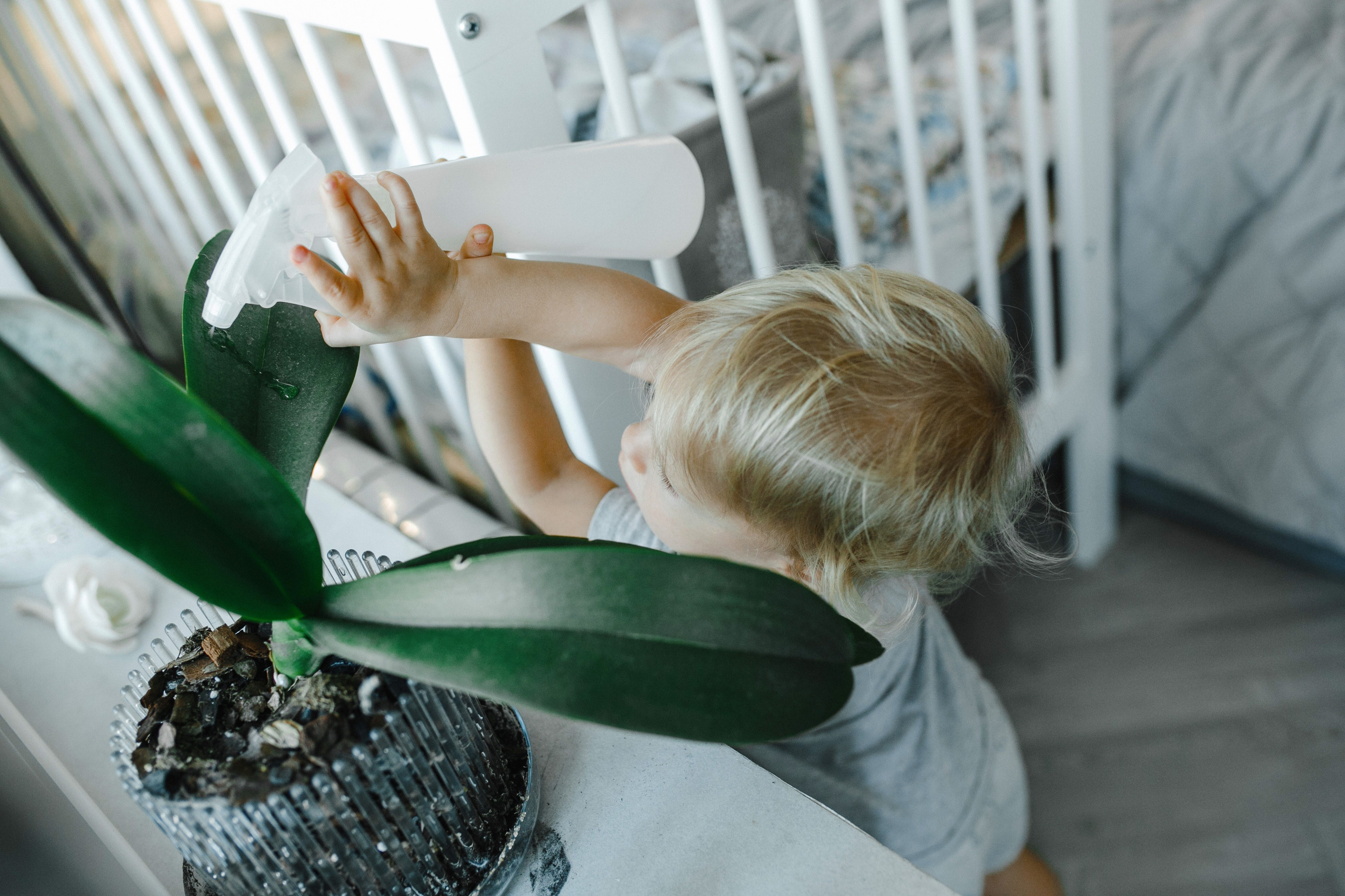 Кристина&Алексей домашняя. Фотограф в Новосибирске Ася Зверева