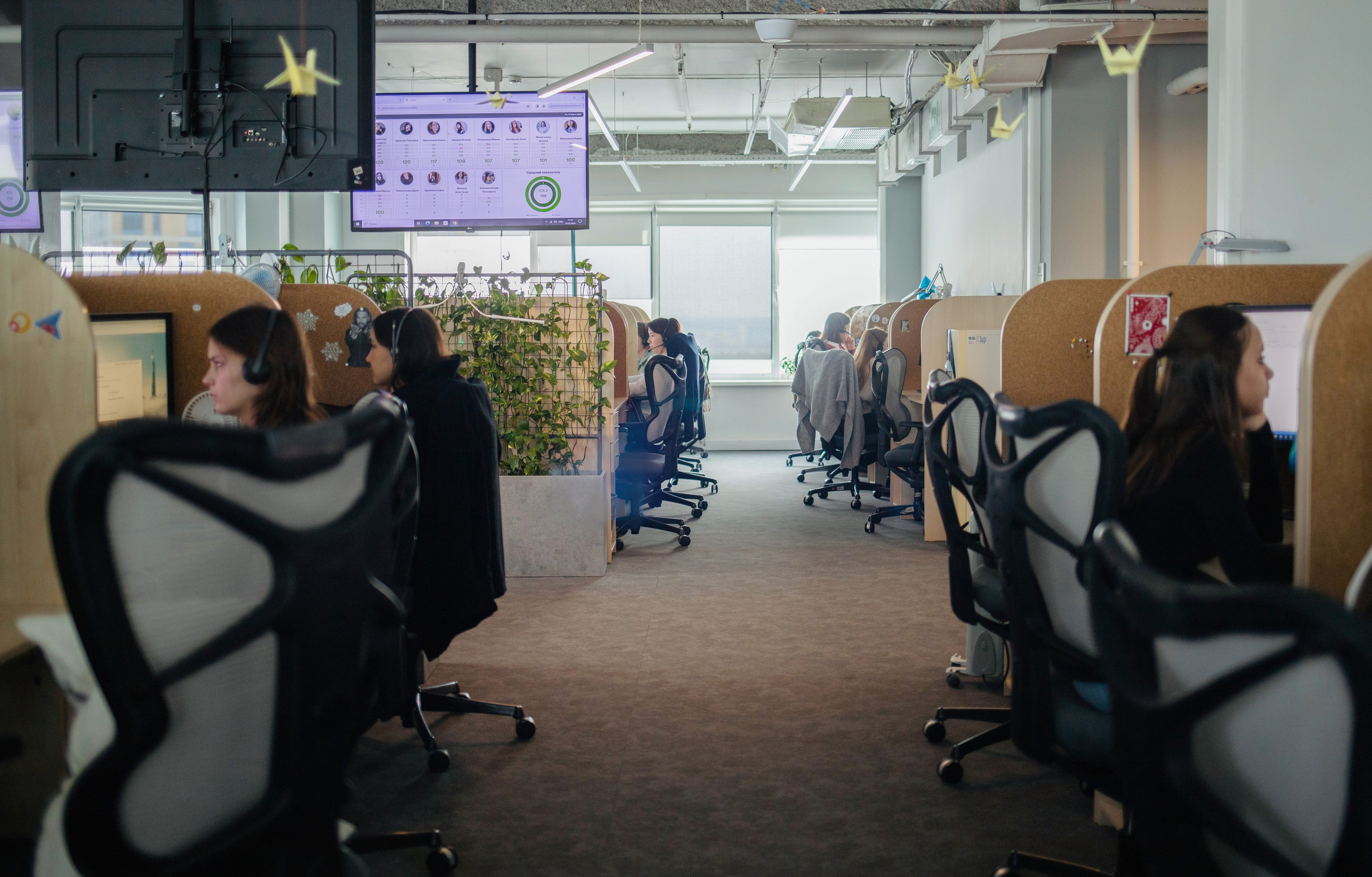 Business. Photographer Alina Skitovich