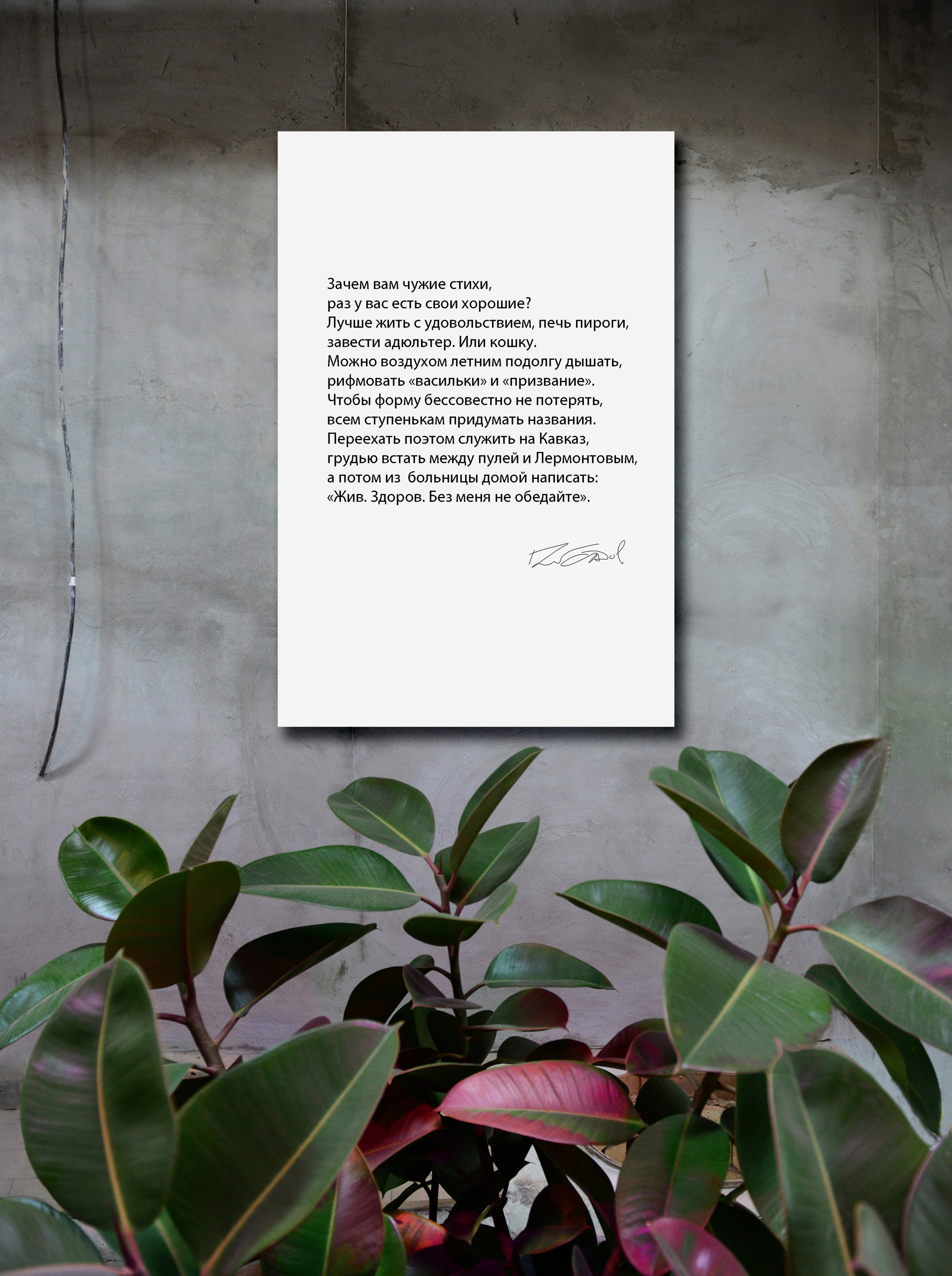 СТИХИ НА ХОЛСТЕ. Фотограф Глеб Садов