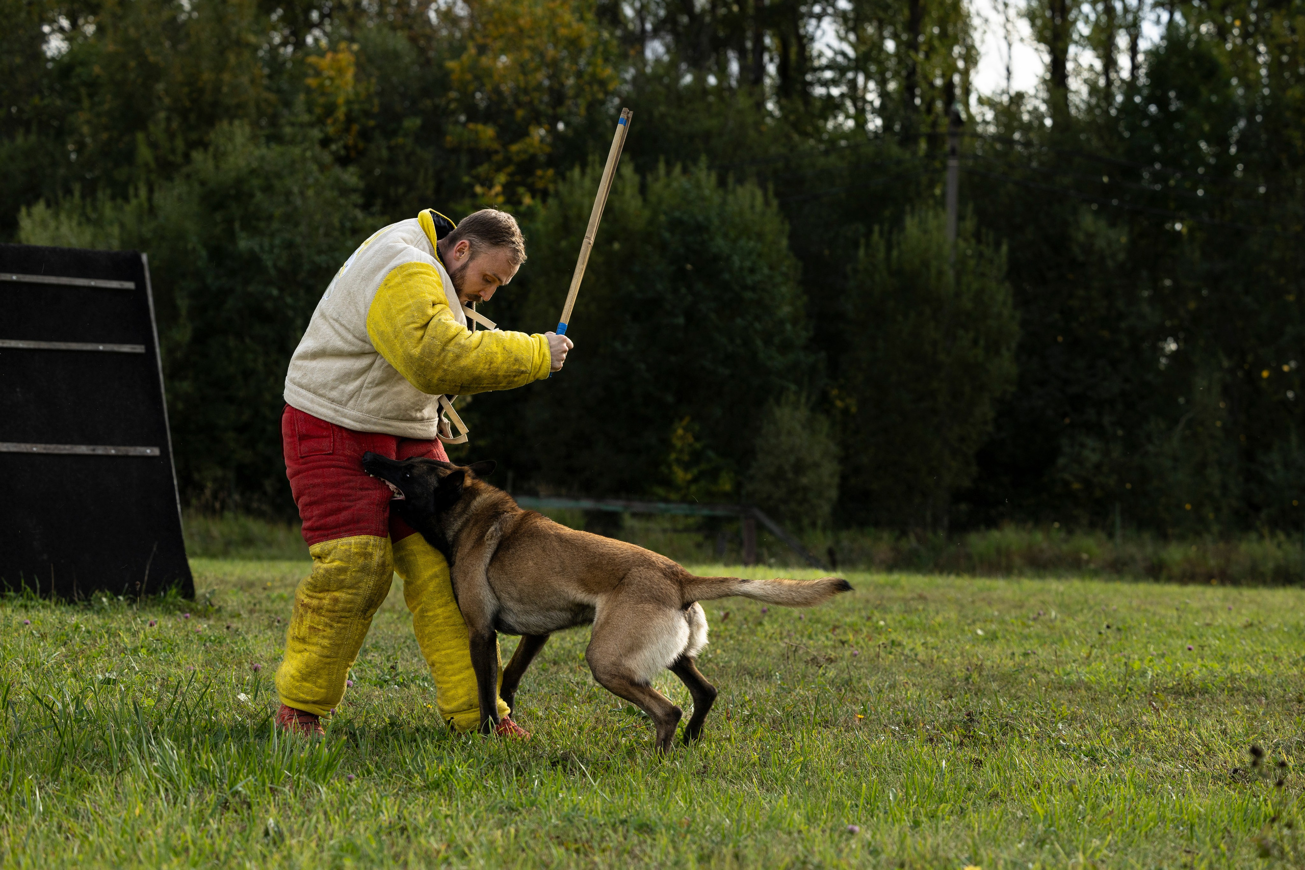 Испытания по Мондьорингу г. Пушкин. Фотограф-анималист Анна Маринич