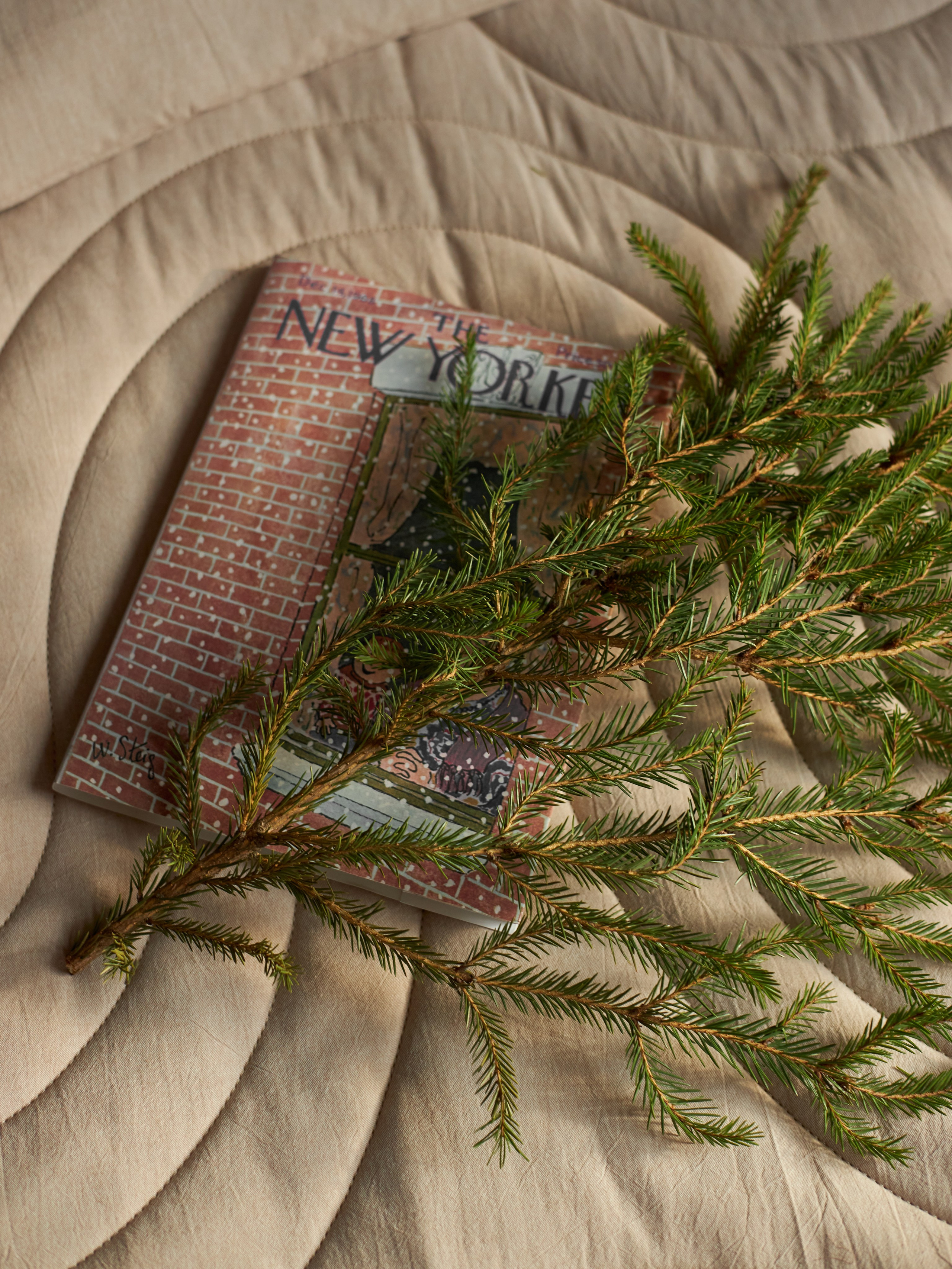 Предметная фотосъемка. Фотостудия Домодедово — Lumi Studio