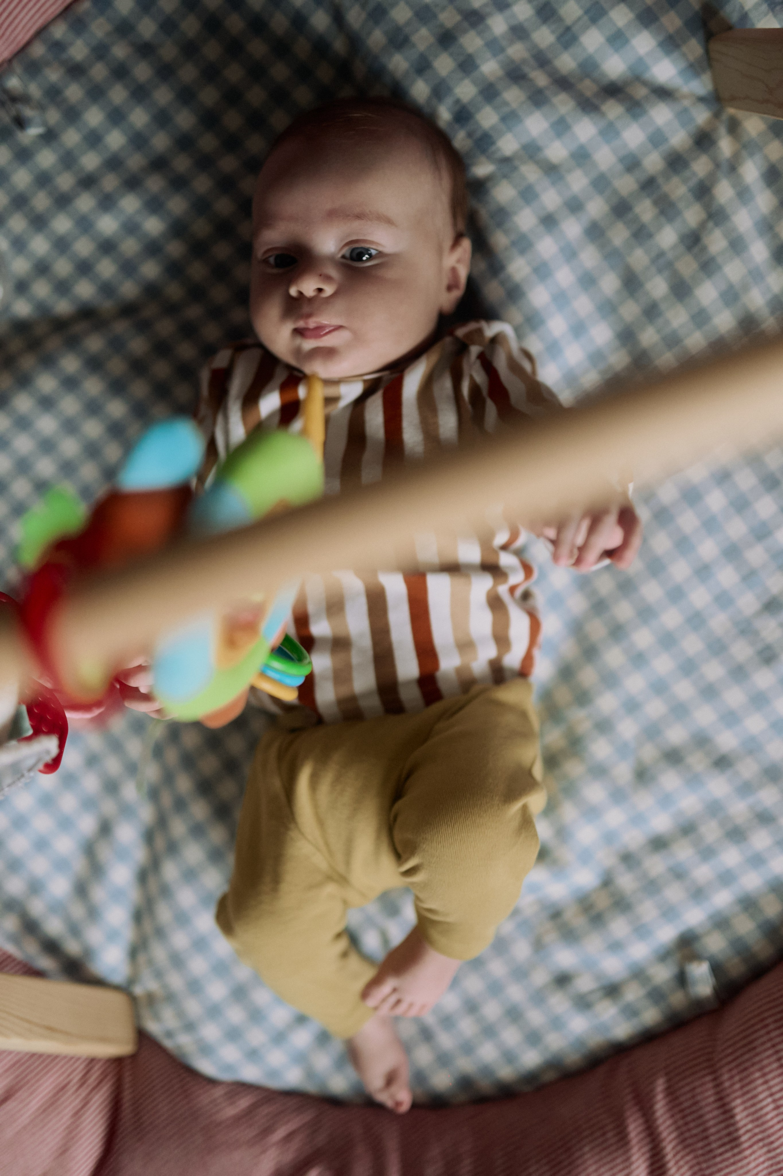 Эмир, Диана, Леон и Амин дома. Семейный и свадебный lifestyle-фотограф в Москве Мария Петрова