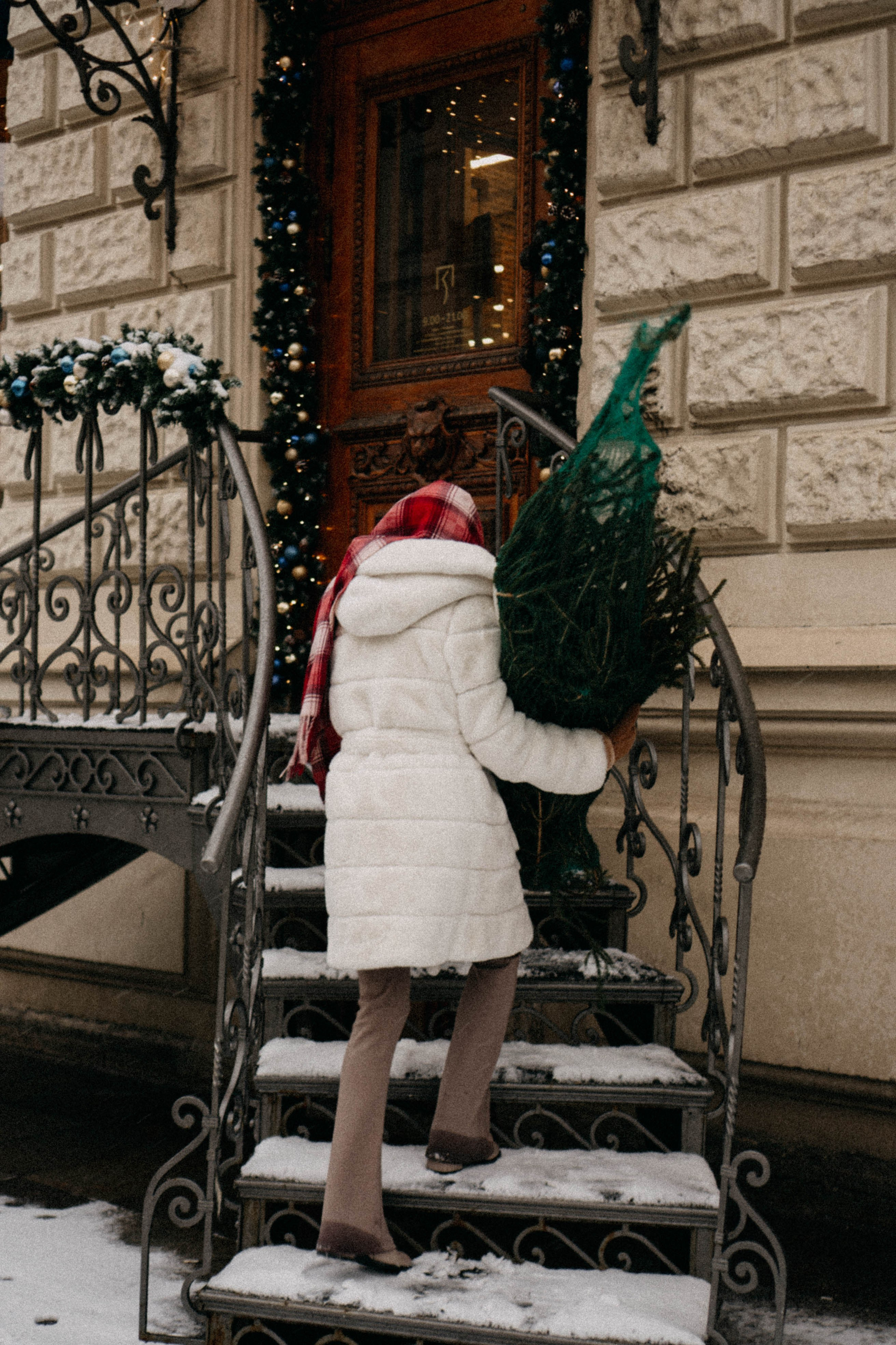 Новогодняя. Профессиональный фотограф, Санкт-Петербург — Виктория Богомолова
