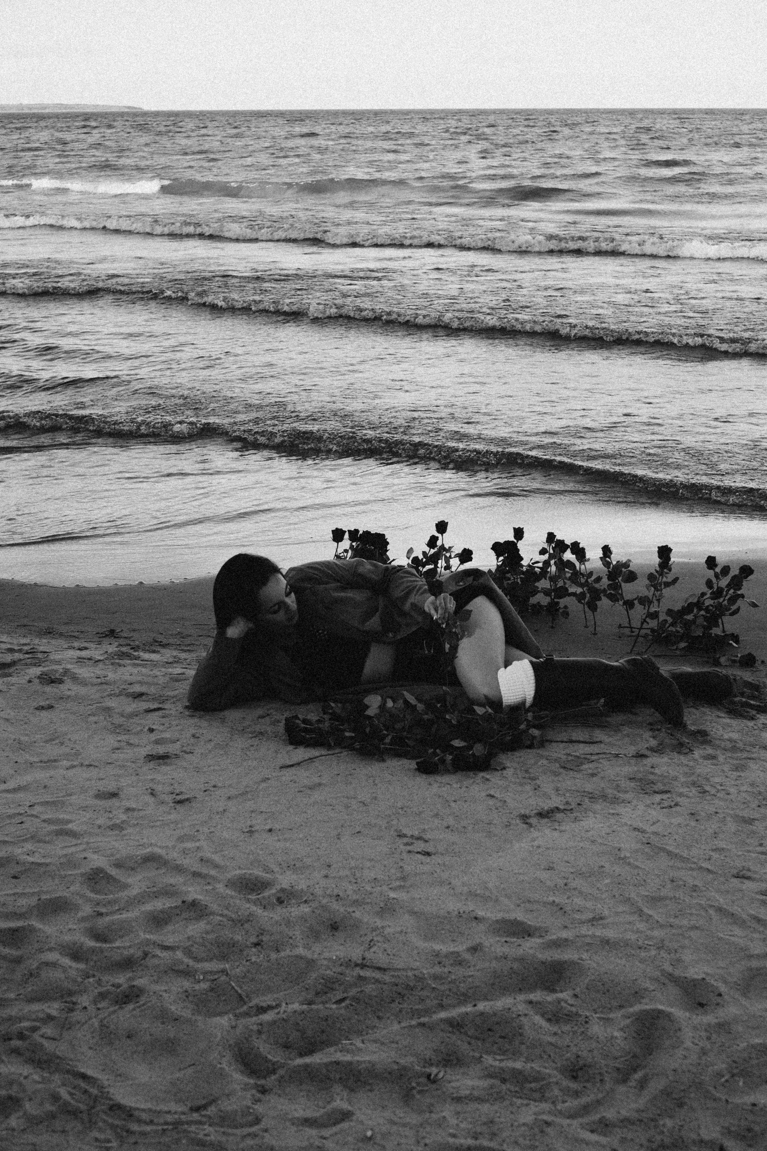 Розы. Профессиональный фотограф, Санкт-Петербург — Виктория Богомолова