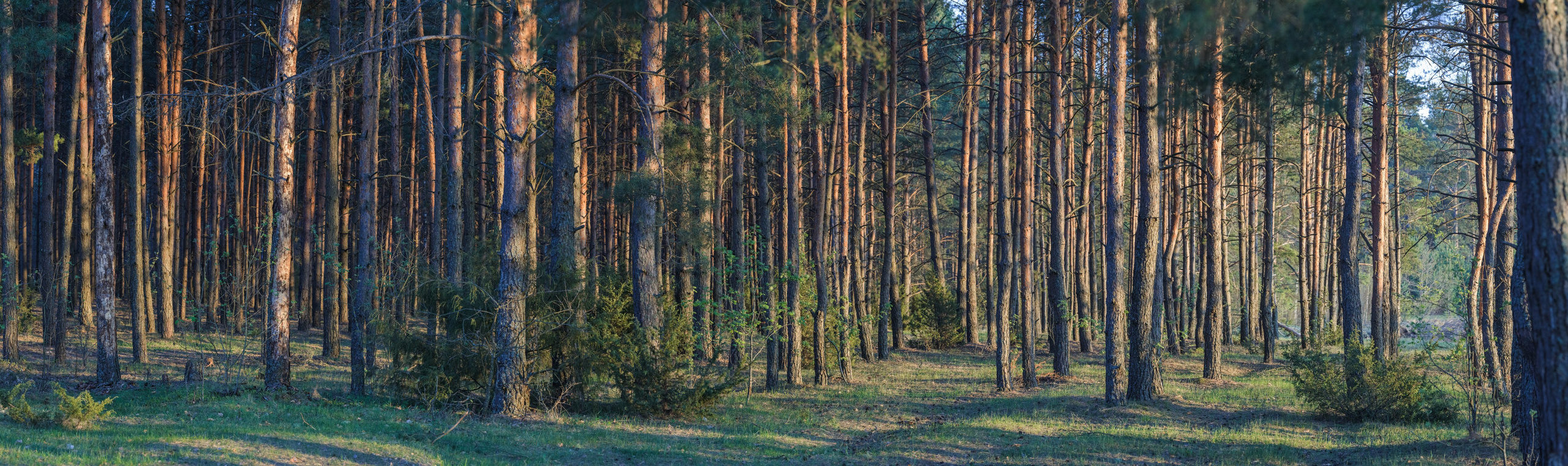 Водный поход 1-й кс по реке Случь. Репортажный фотограф Владимир Беляй