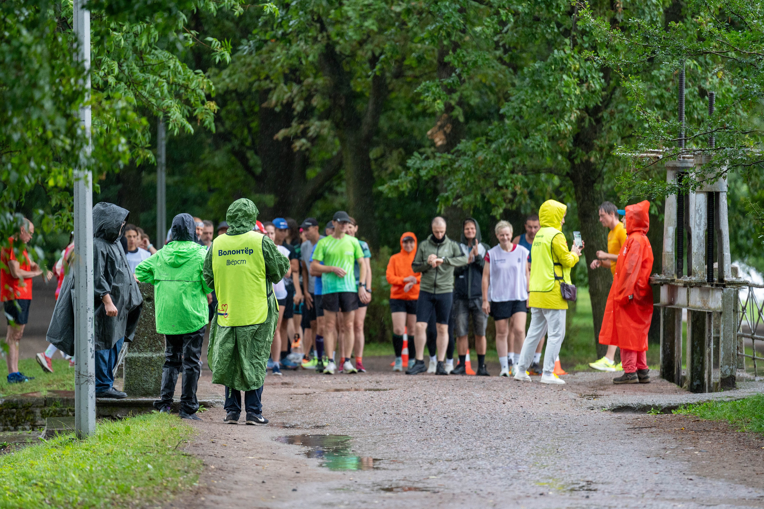 Спортивный фотограф Санкт-Петербург снимает пробежку «5 вёрст» на Елагином острове