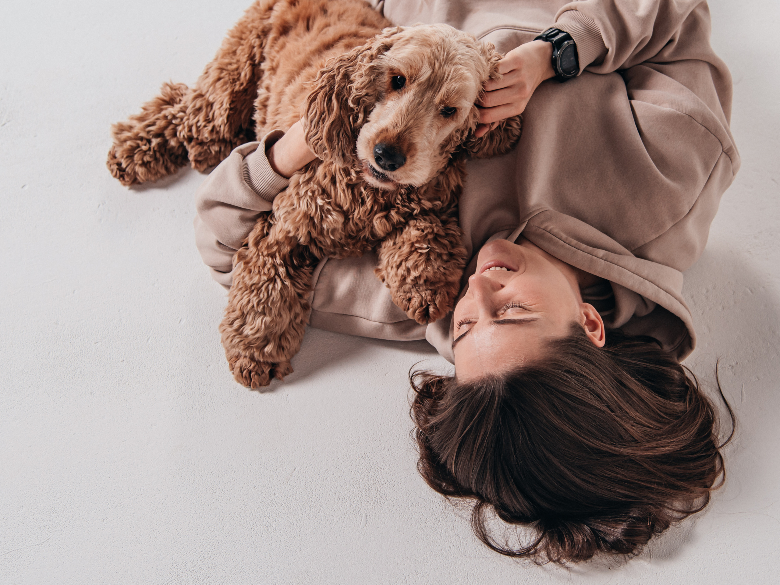 Фотосессия с собакой в студии. Фотограф Москва