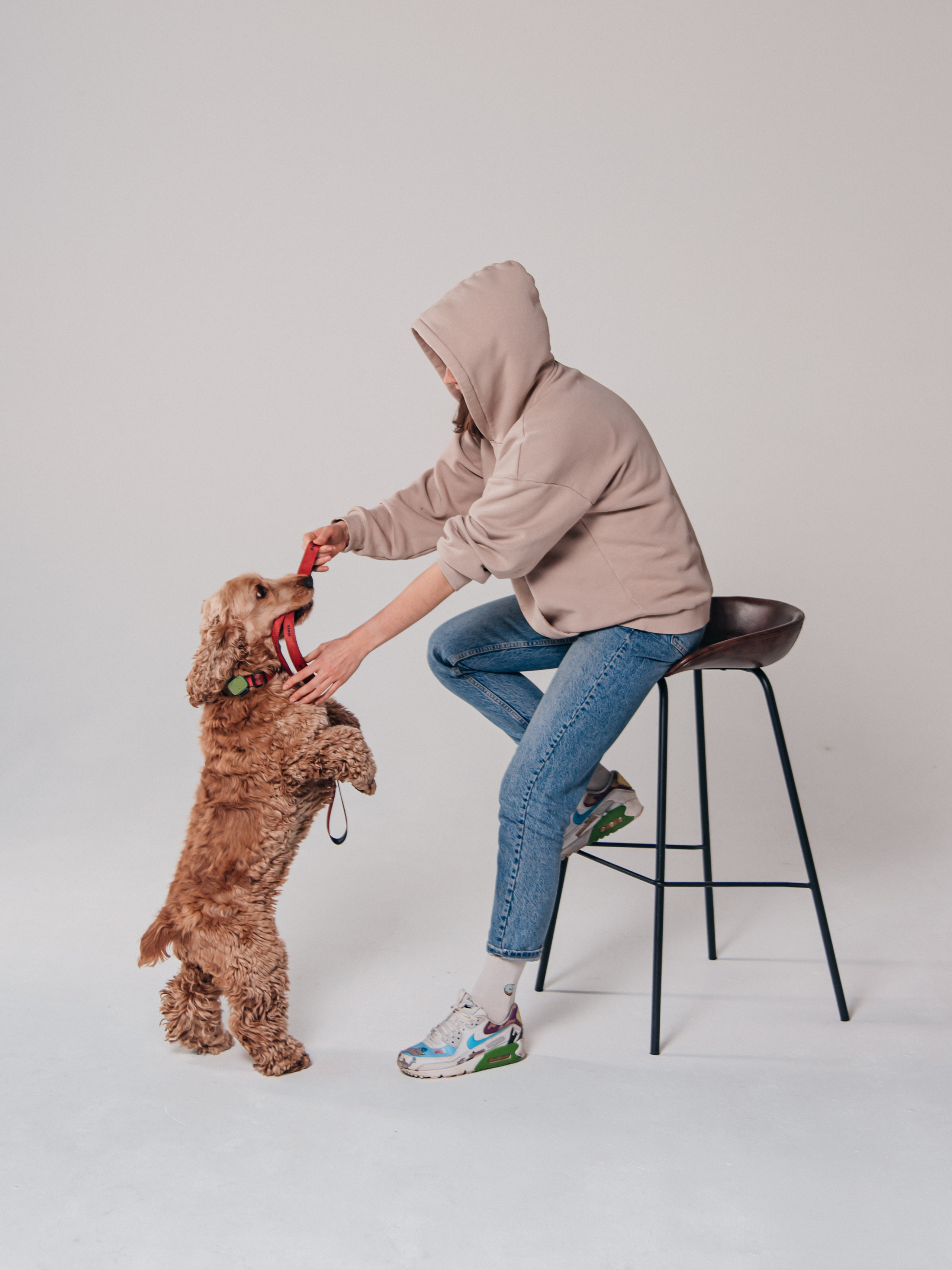 Фотосессия с собакой в студии. Фотограф Москва