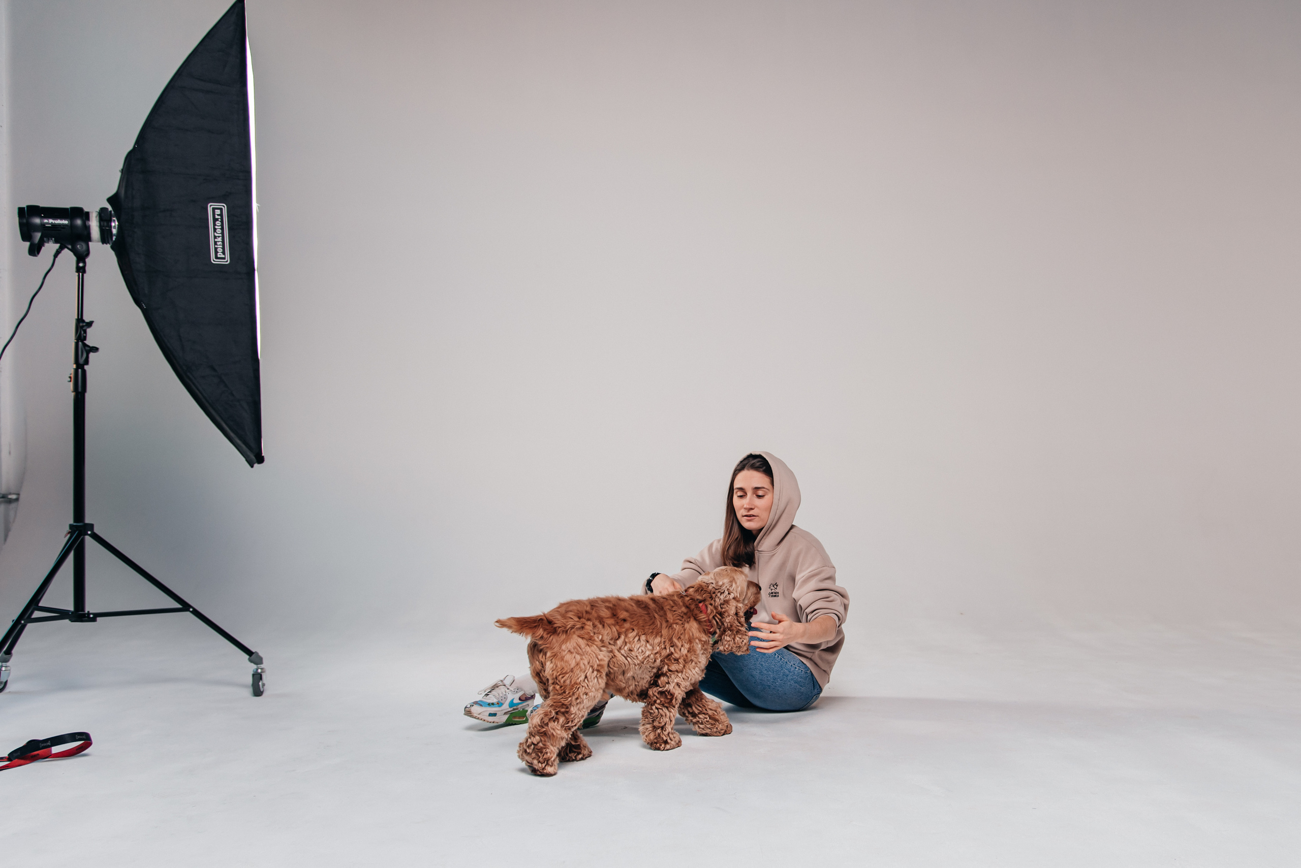 Фотосессия с собакой в студии. Фотограф Москва