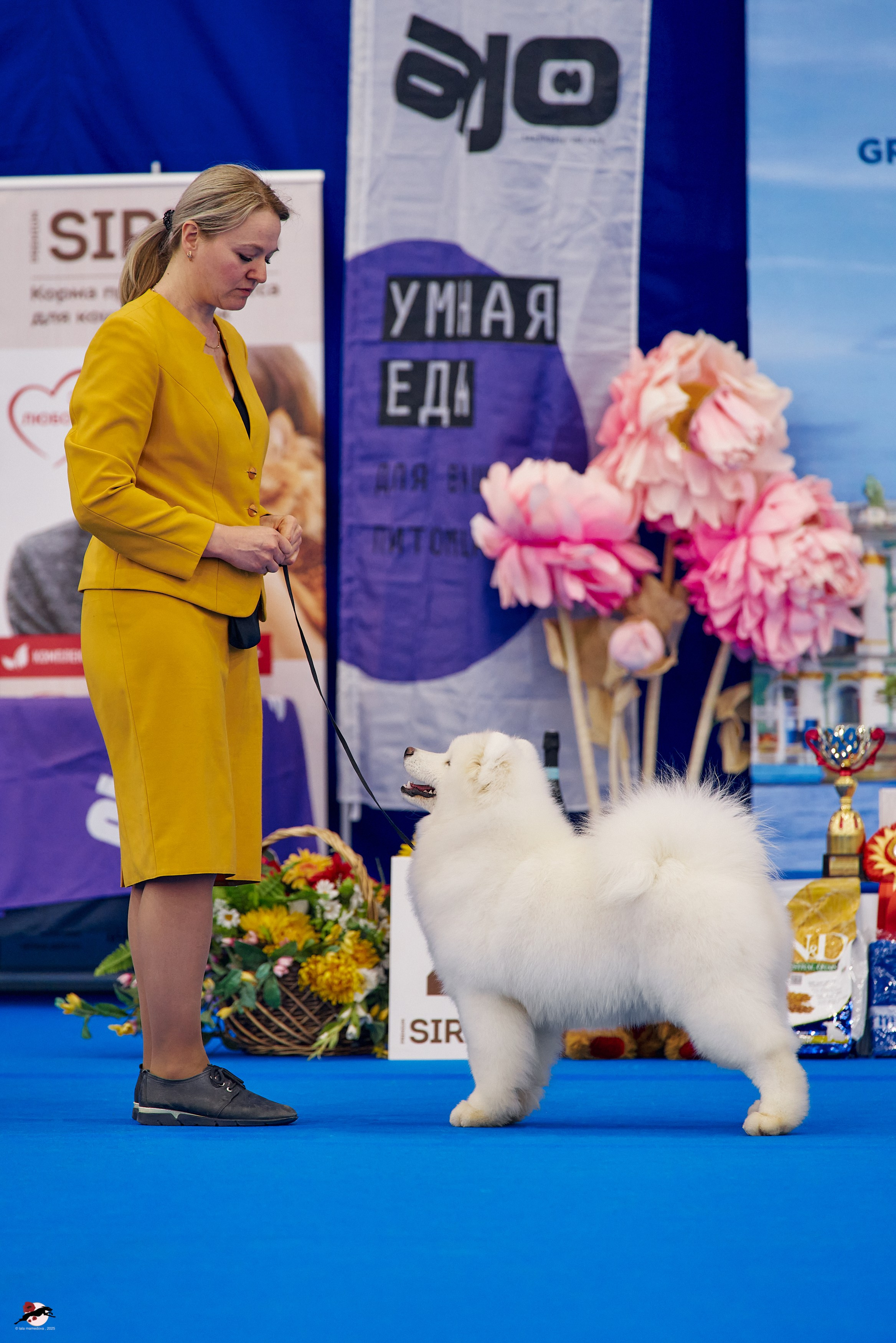 27.04.2025 | "Петербург-Элита 2025" & «КУБОК «ЭЛИТЫ»-2025»