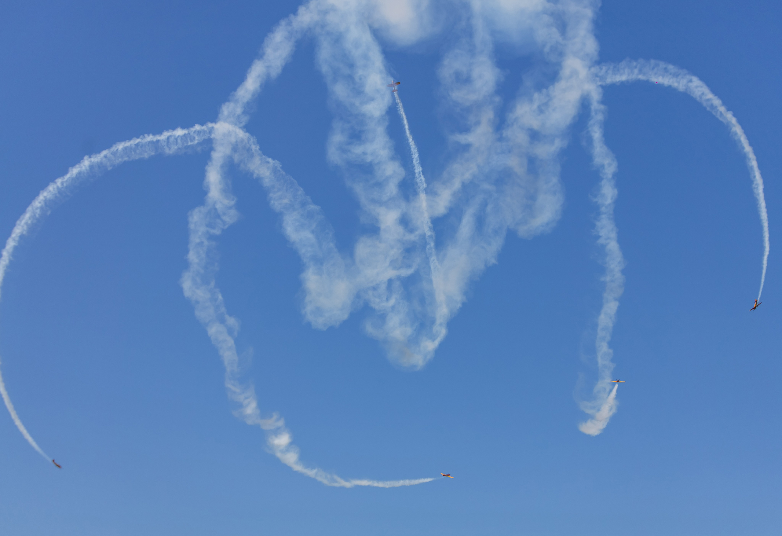 Крылья Пармы 2025 г. KATERINA VINOKUROVA ФОТОГРАФ ПЕРМЬ