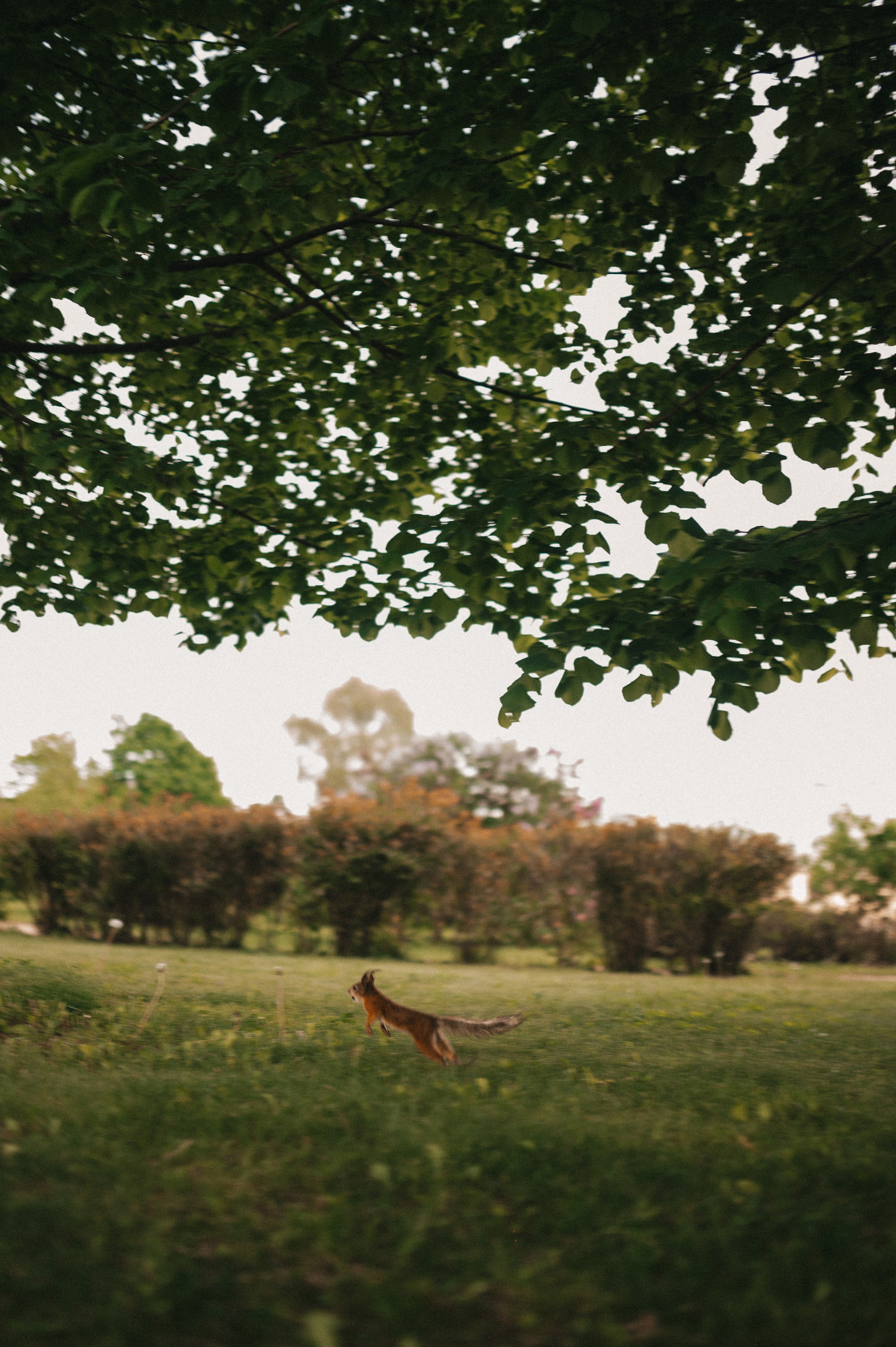 Артём и Кристина. Царицыно. Семейный и свадебный lifestyle-фотограф в Москве Мария Петрова