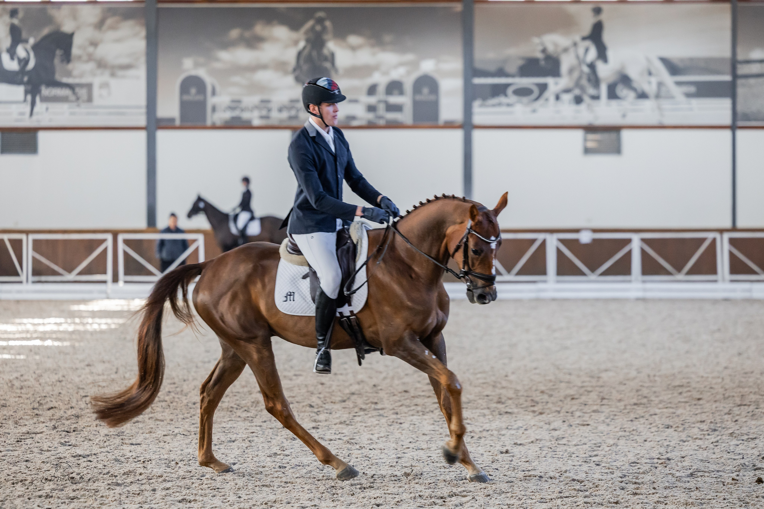 Фоторепортаж с конных соревнований. Фотограф Анималист Наталья Корс Екатеринбург