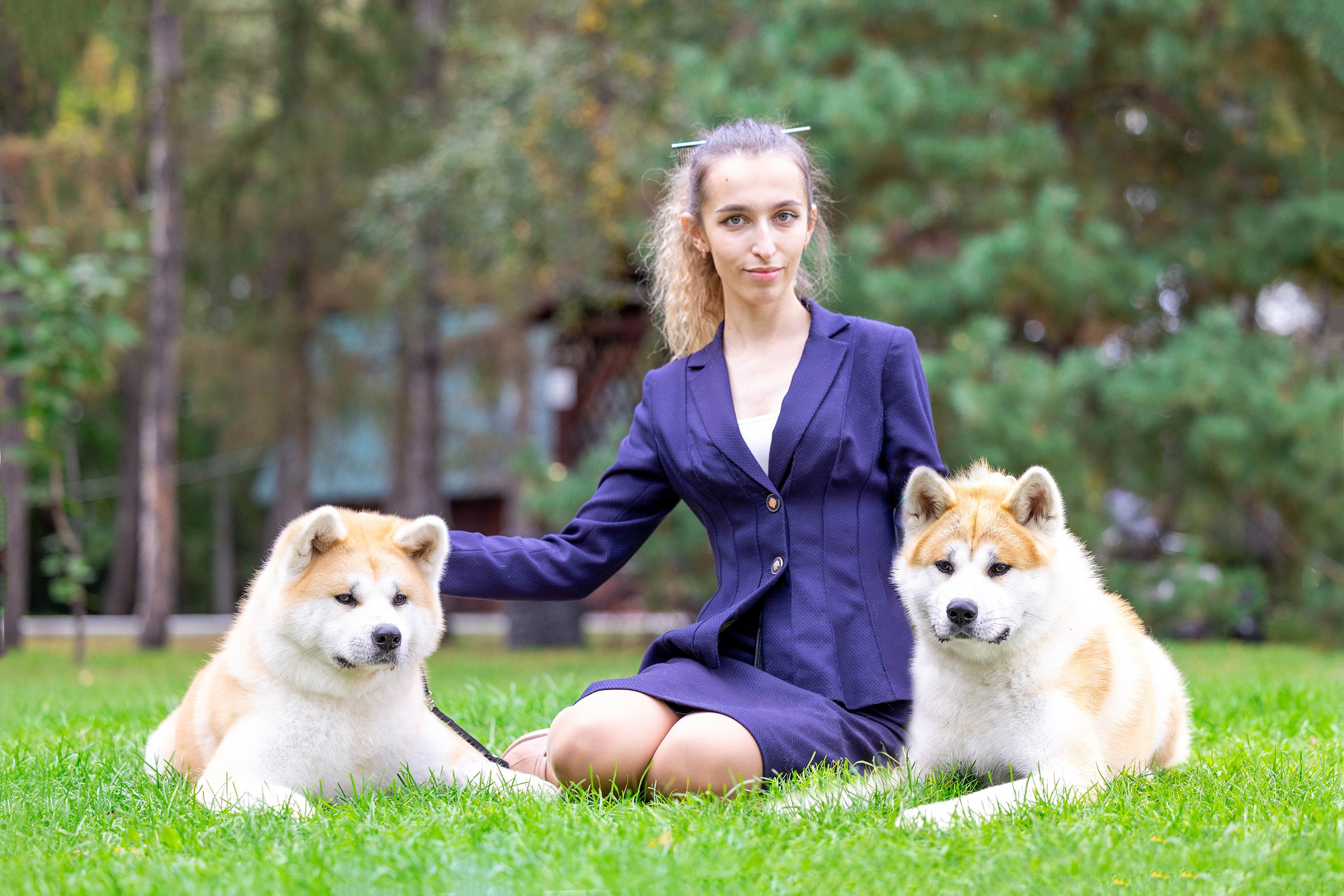 Заринговая съёмка на выставках собак. Фотограф-анималист в Омске Екатерина Маричева