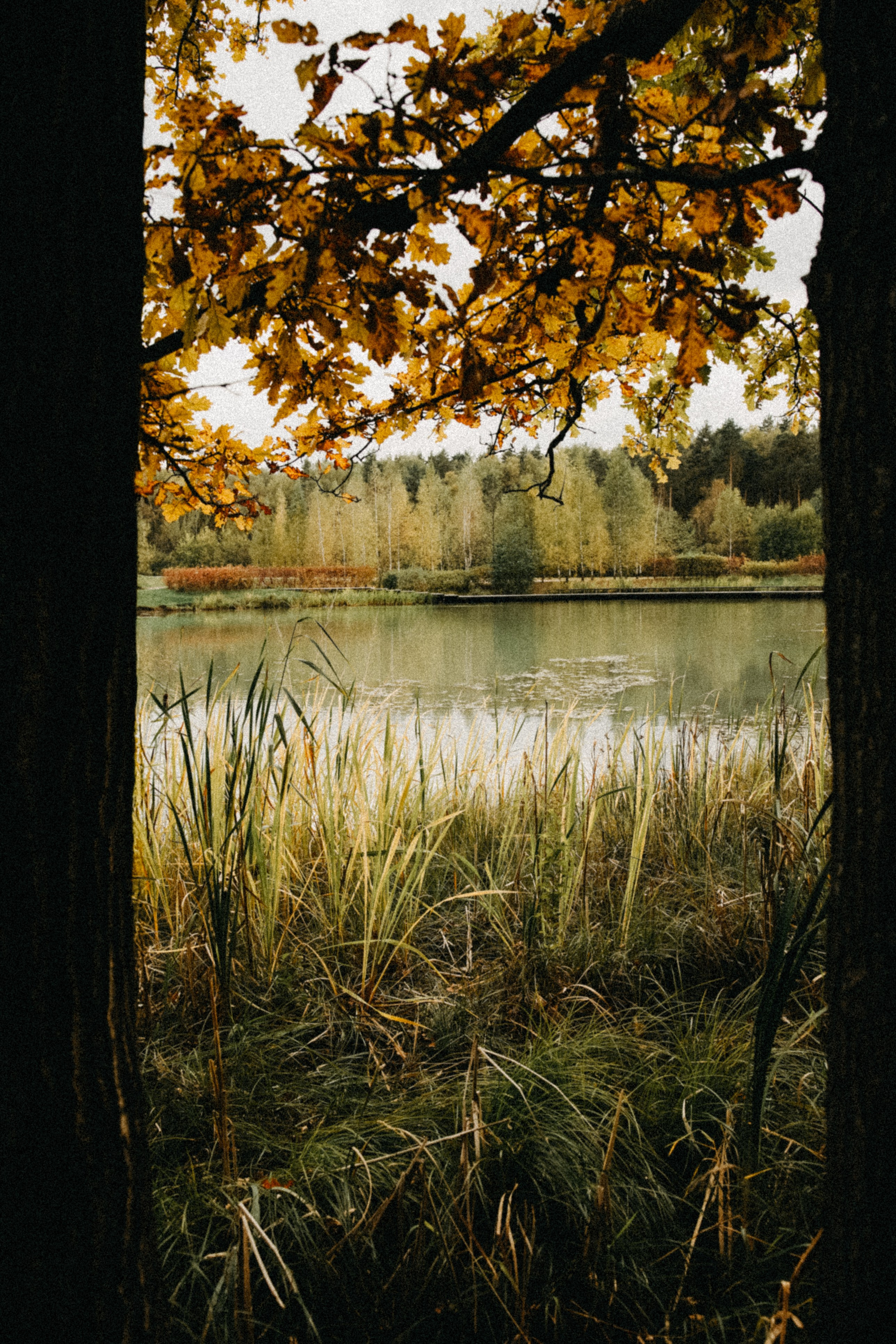 Осень 2025. Фотограф из Москвы — DASHA NOVA | Авторская фотография в разных жанрах