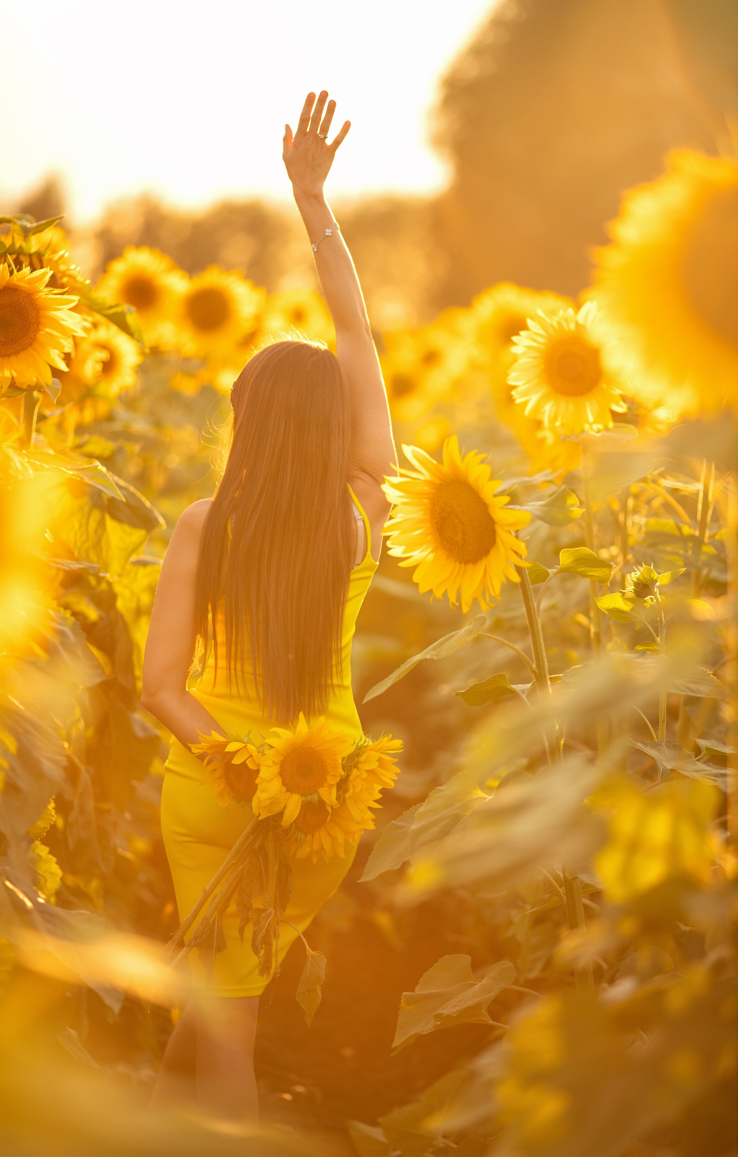 В подсолнухах однажды летом. Ольга Смирнова юрист, фотограф