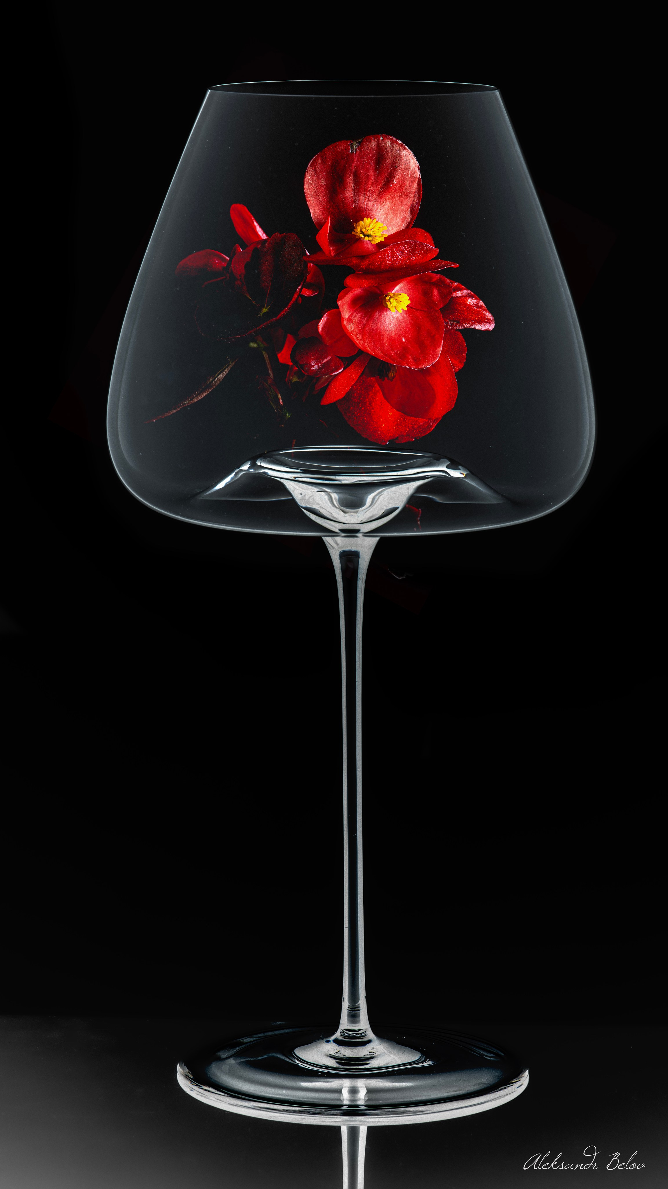 Натюрморт. Пейзажный и семейный фотограф в Санкт-Петербурге Александр Белов