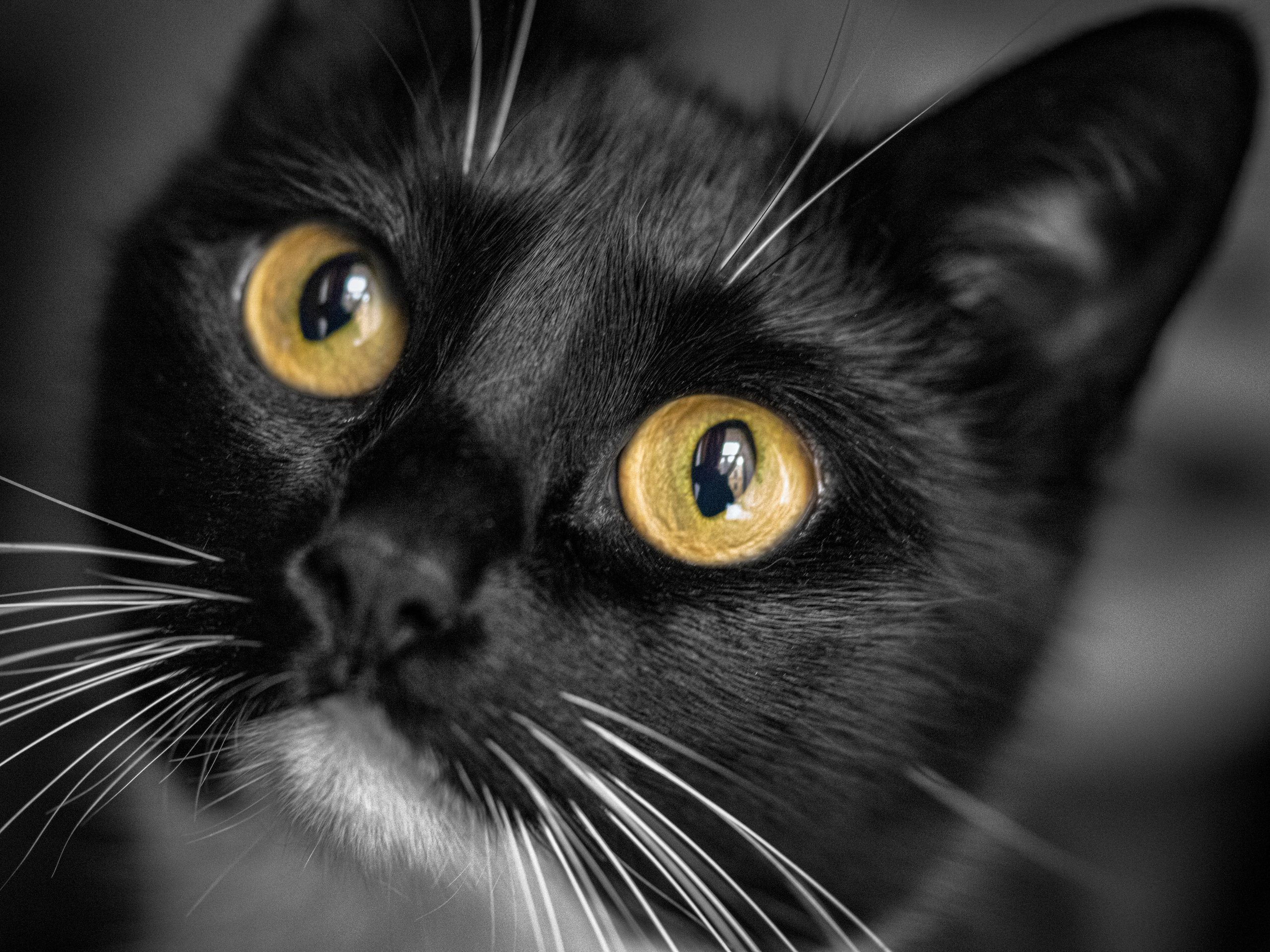 Портреты. Пейзажный и семейный фотограф в Санкт-Петербурге Александр Белов